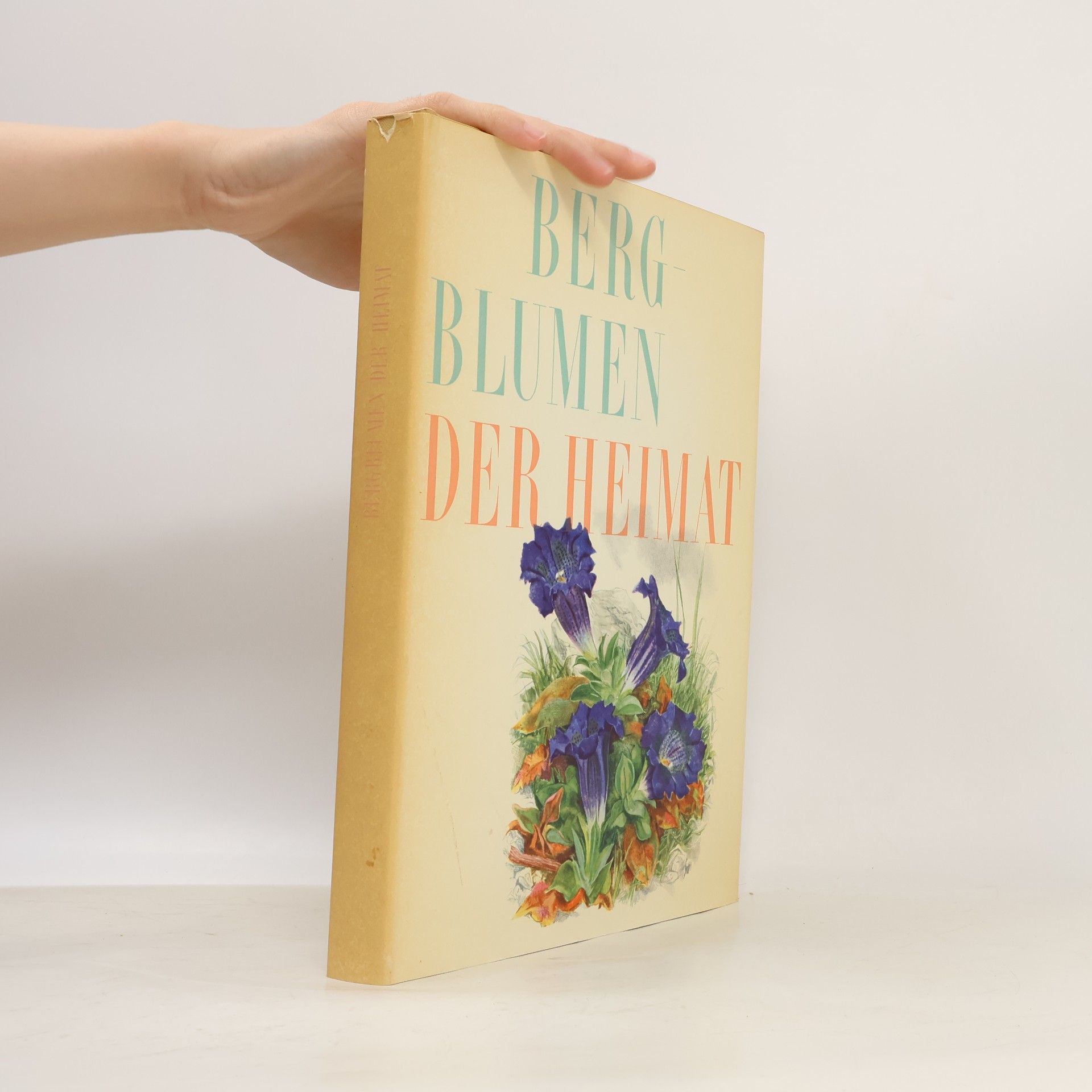 Collectif d'auteurs Berg Blumen der Heimat