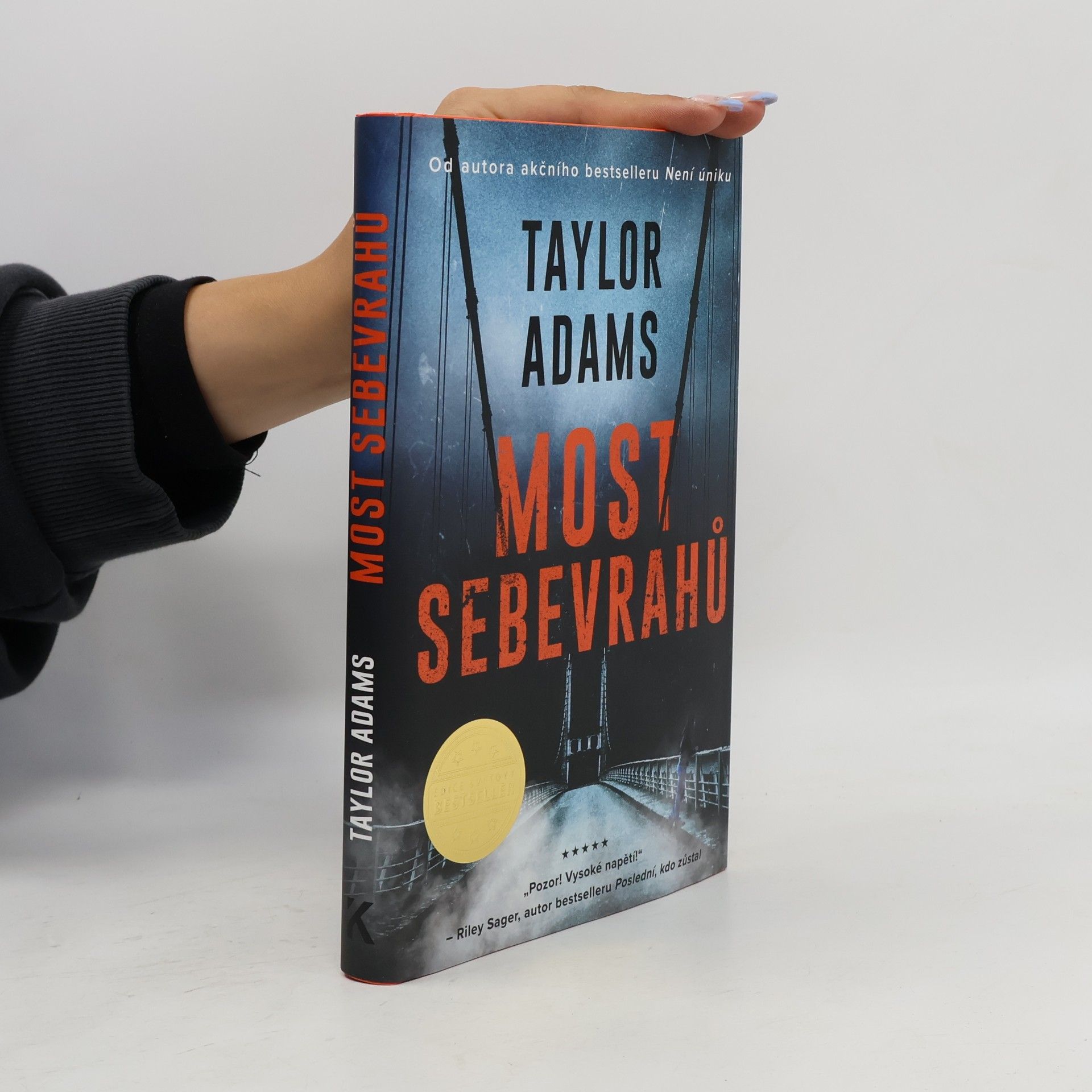 Taylor Adams Most sebevrahů