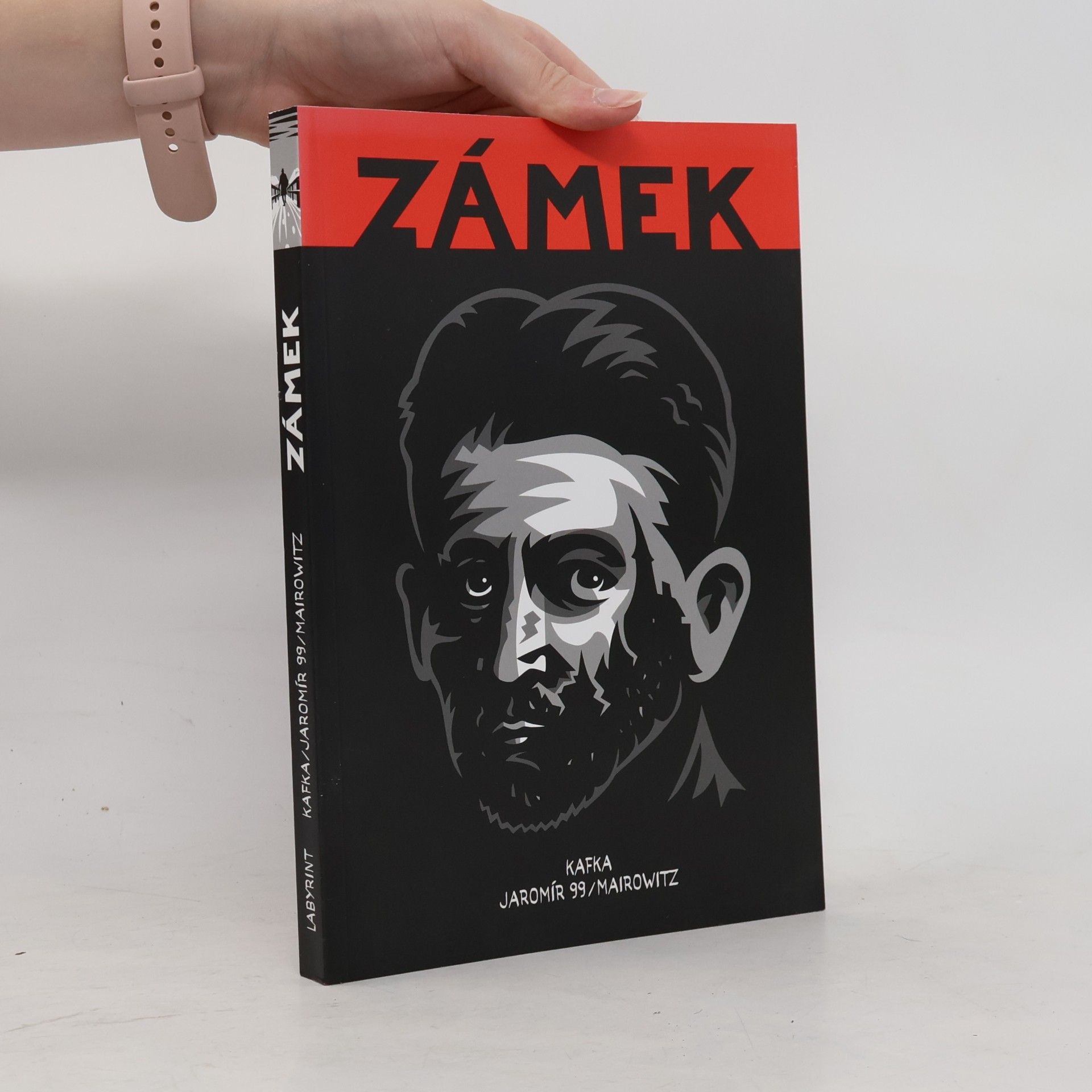 Franz Kafka Zámek