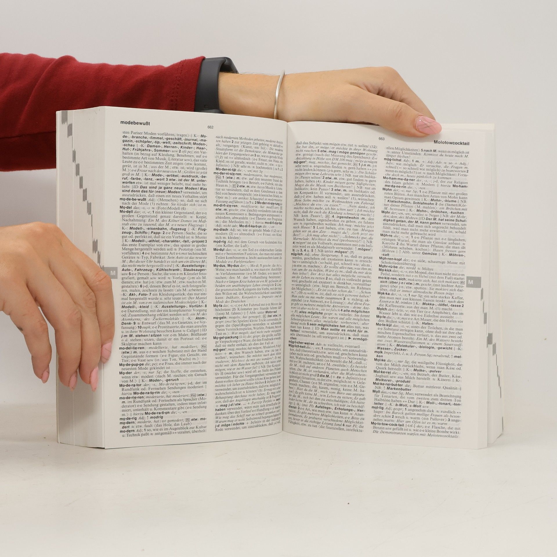 Kolektiv autorů Langenscheidts Großwörterbuch Deutsch als Fremdsprache