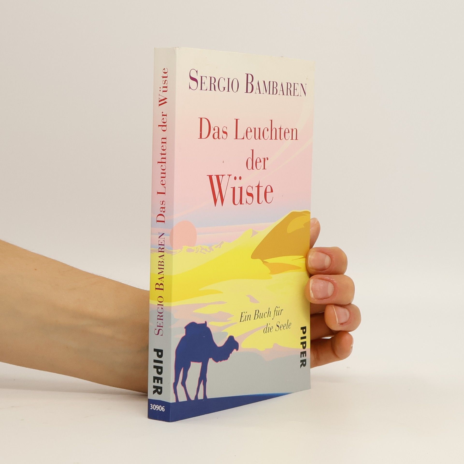 Sergio Bambaren Das Leuchten der Wüste