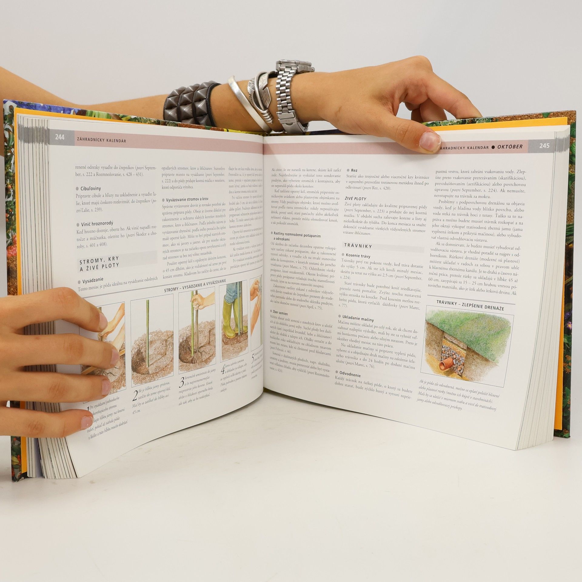 Various authors Rok v záhrade