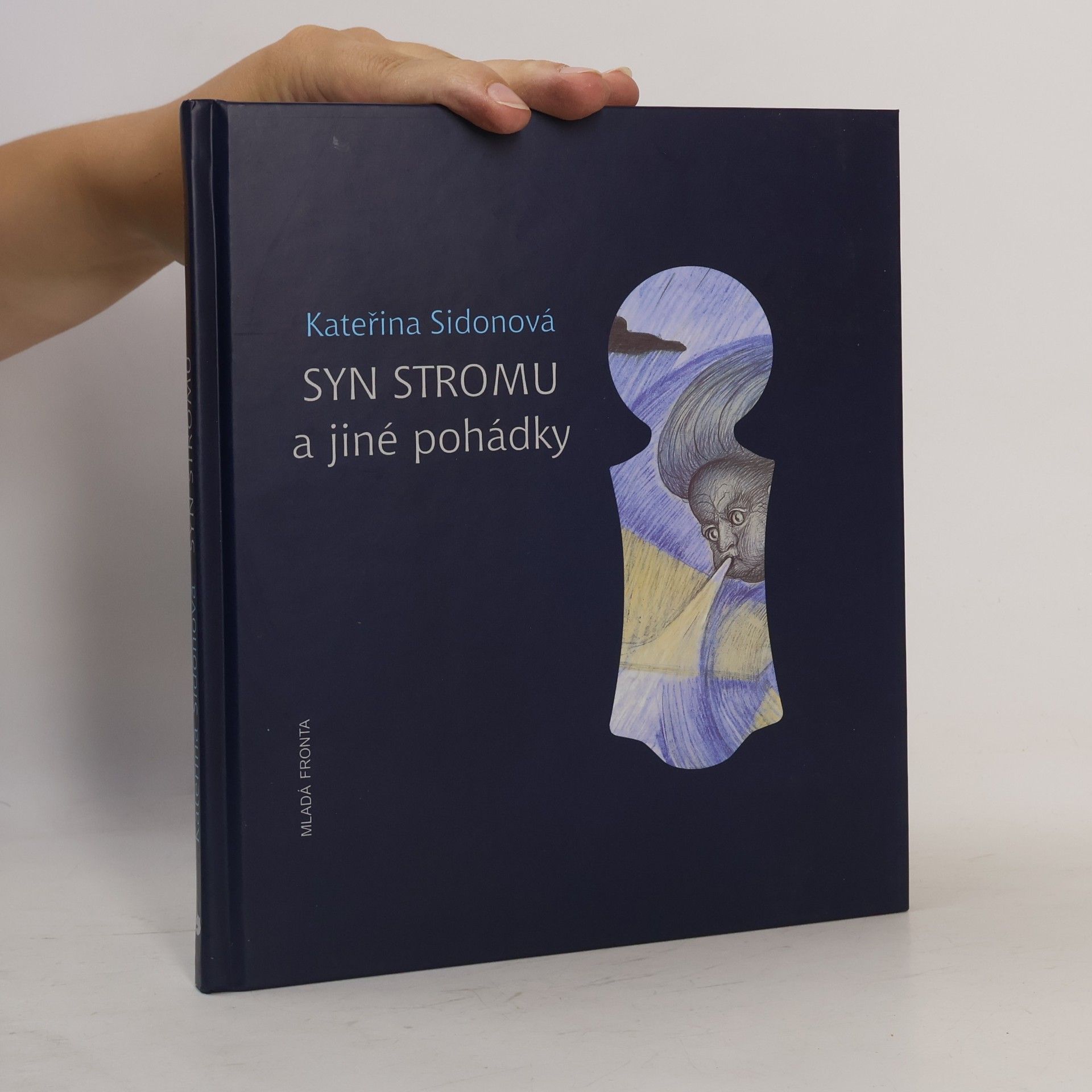 Kateřina Sidonová Syn stromu a jiné pohádky