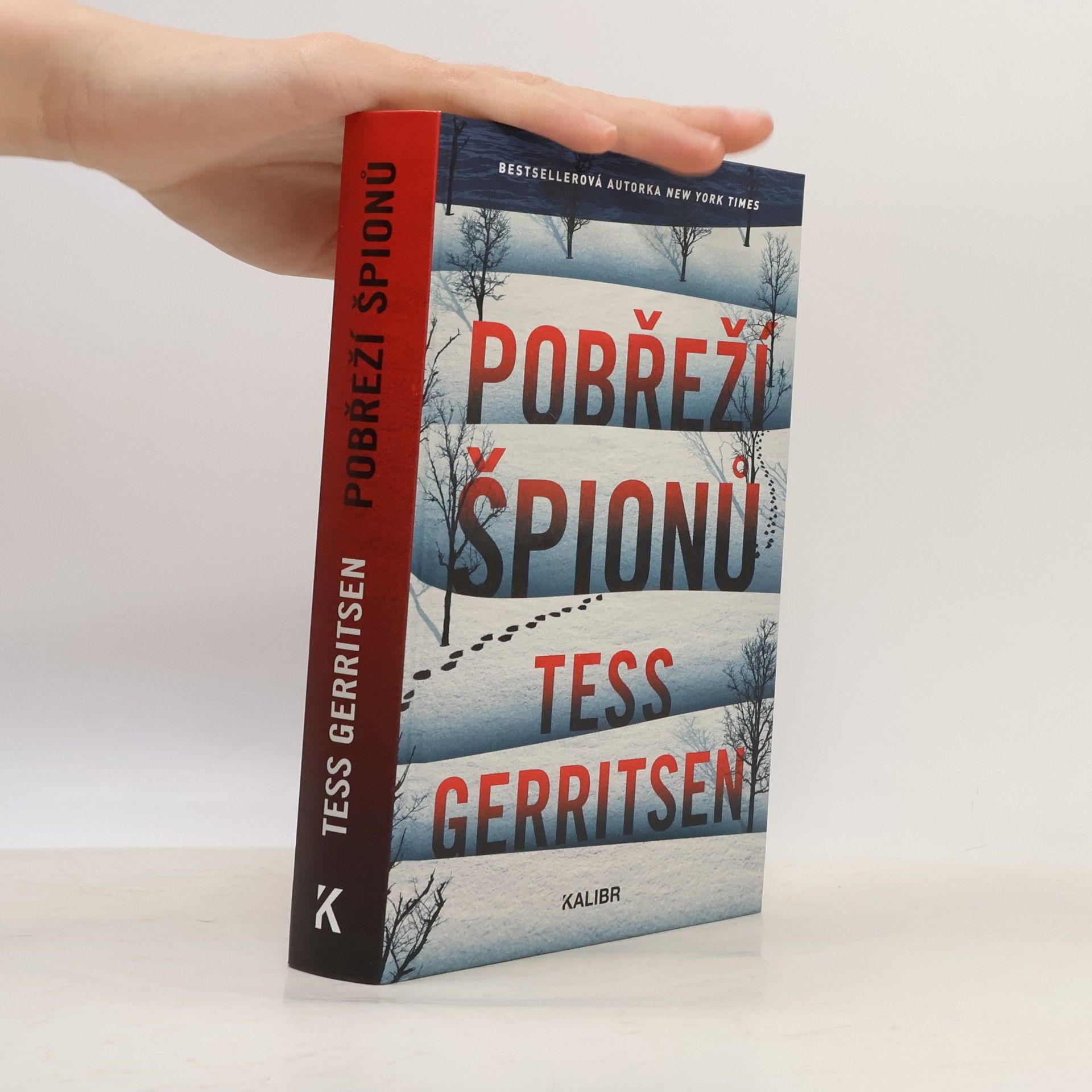 Tess Gerritsen Pobřeží špionů