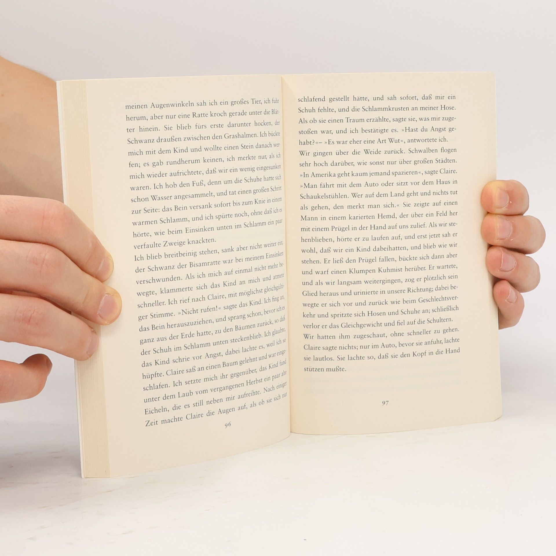 Peter Handke Der kurze Brief zum langen Abschied