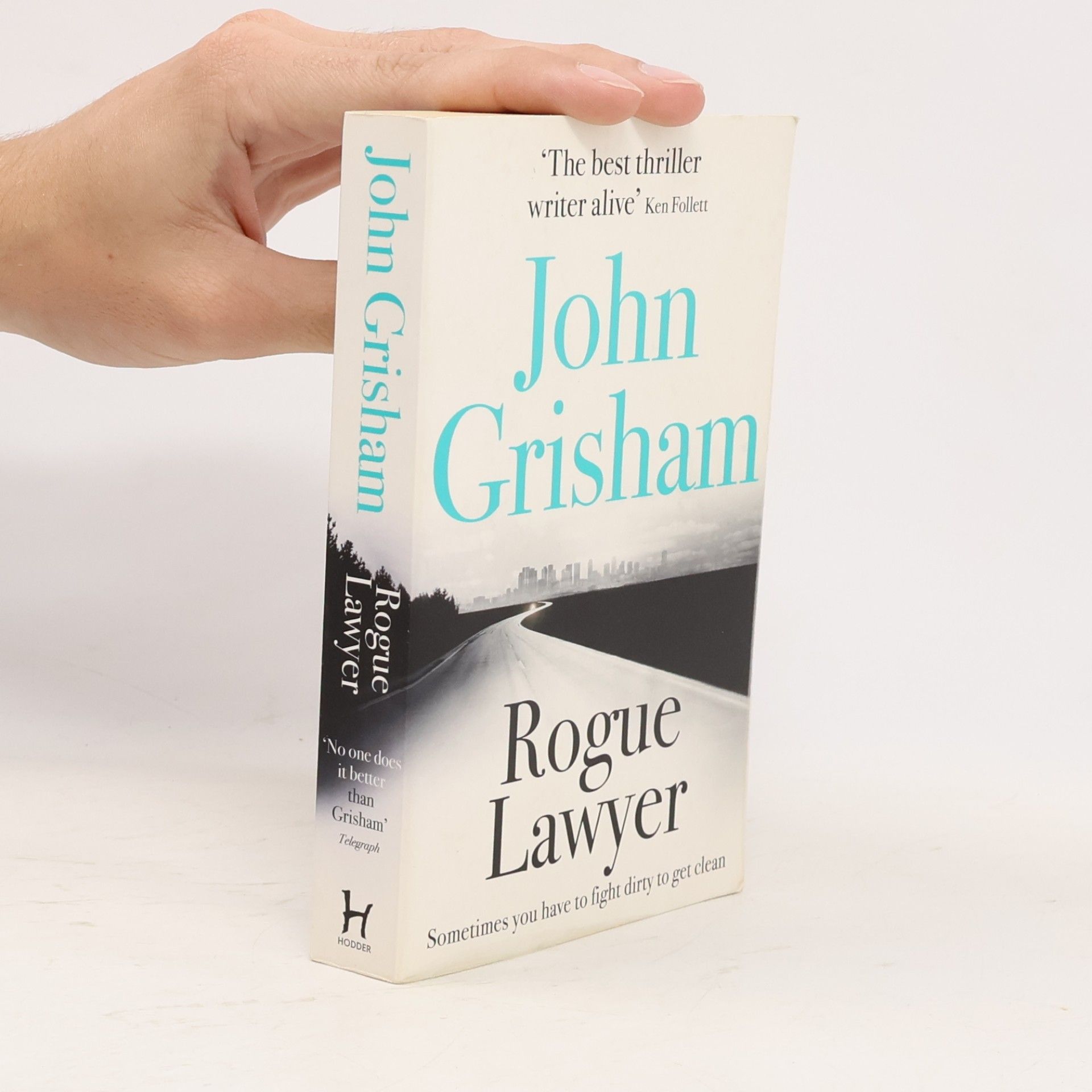 John Grisham Rogue lawyer