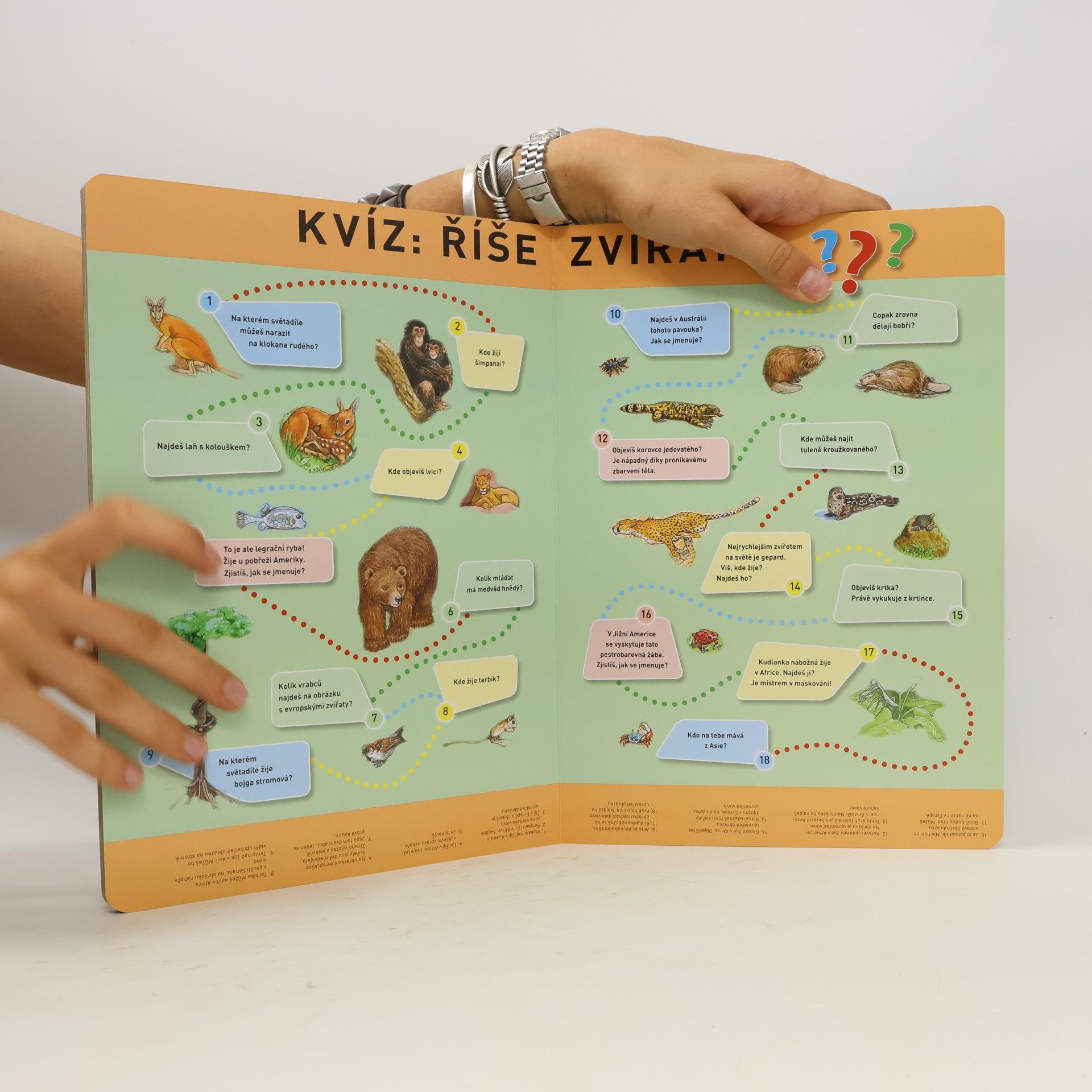 Anne Suess Co se děje v říši zvířat