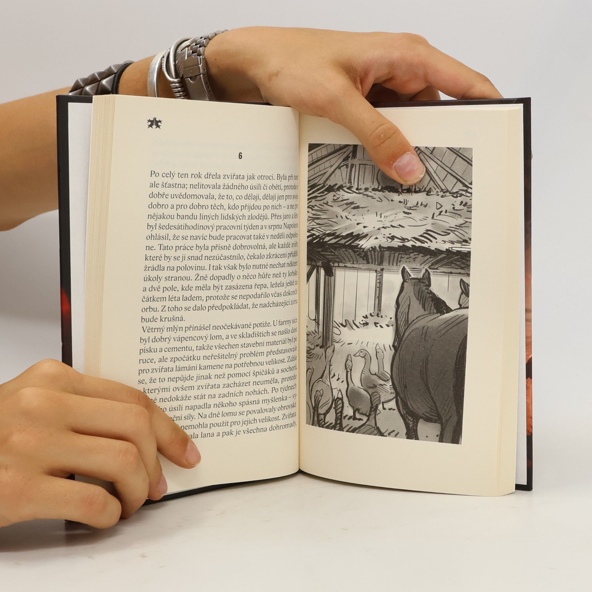 George Orwell Farma zvířat