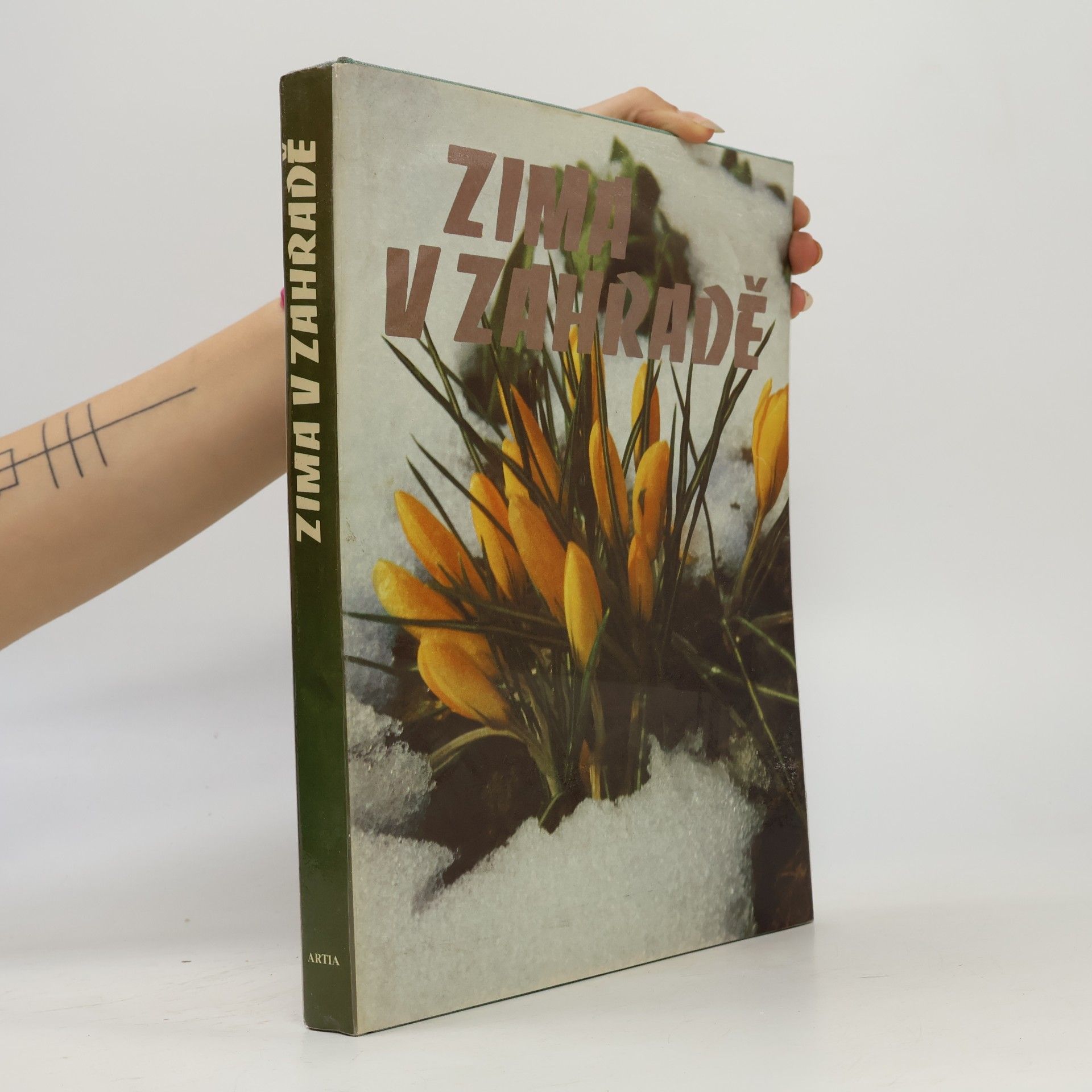Collectif d'auteurs Zima v zahradě