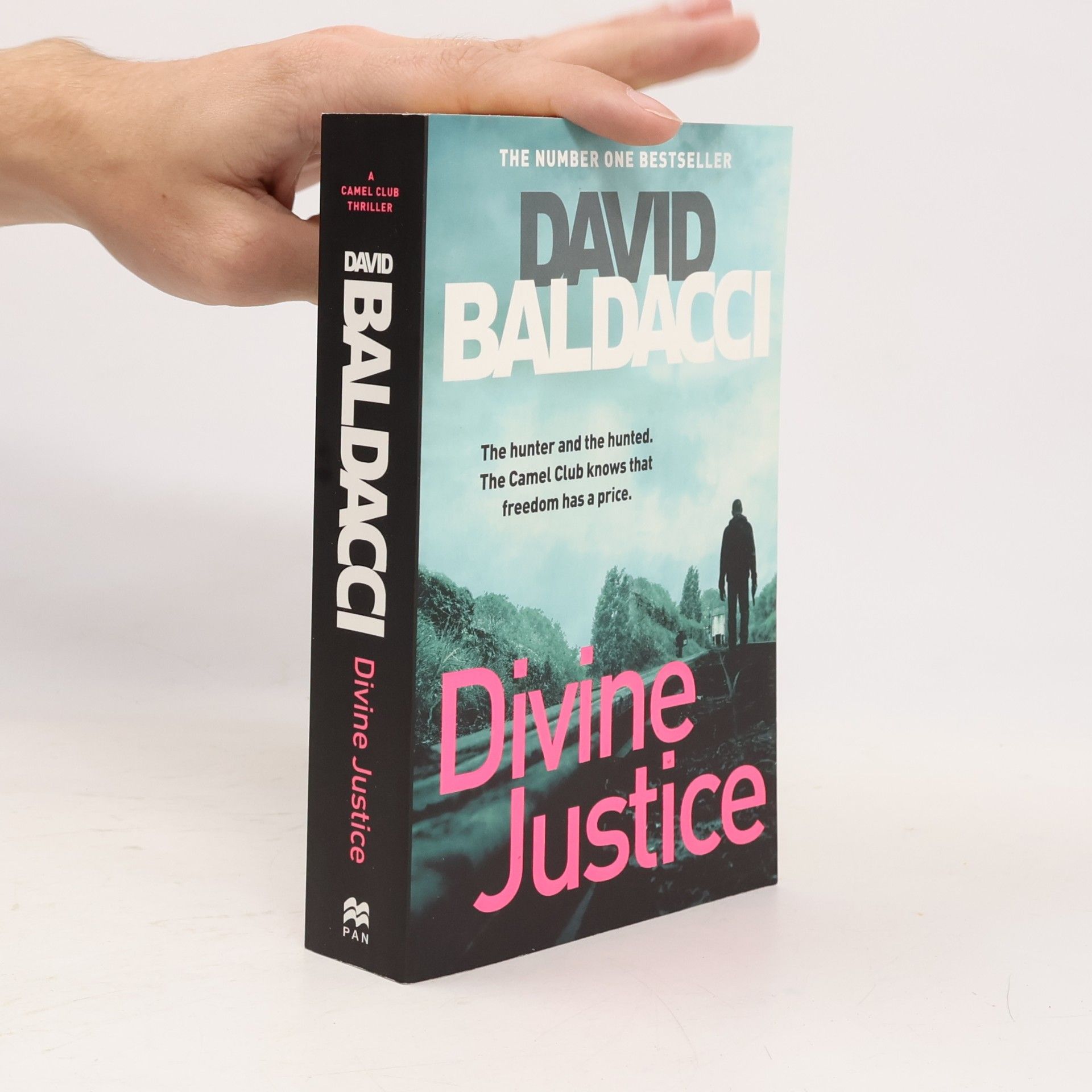 David Baldacci Divine Justice