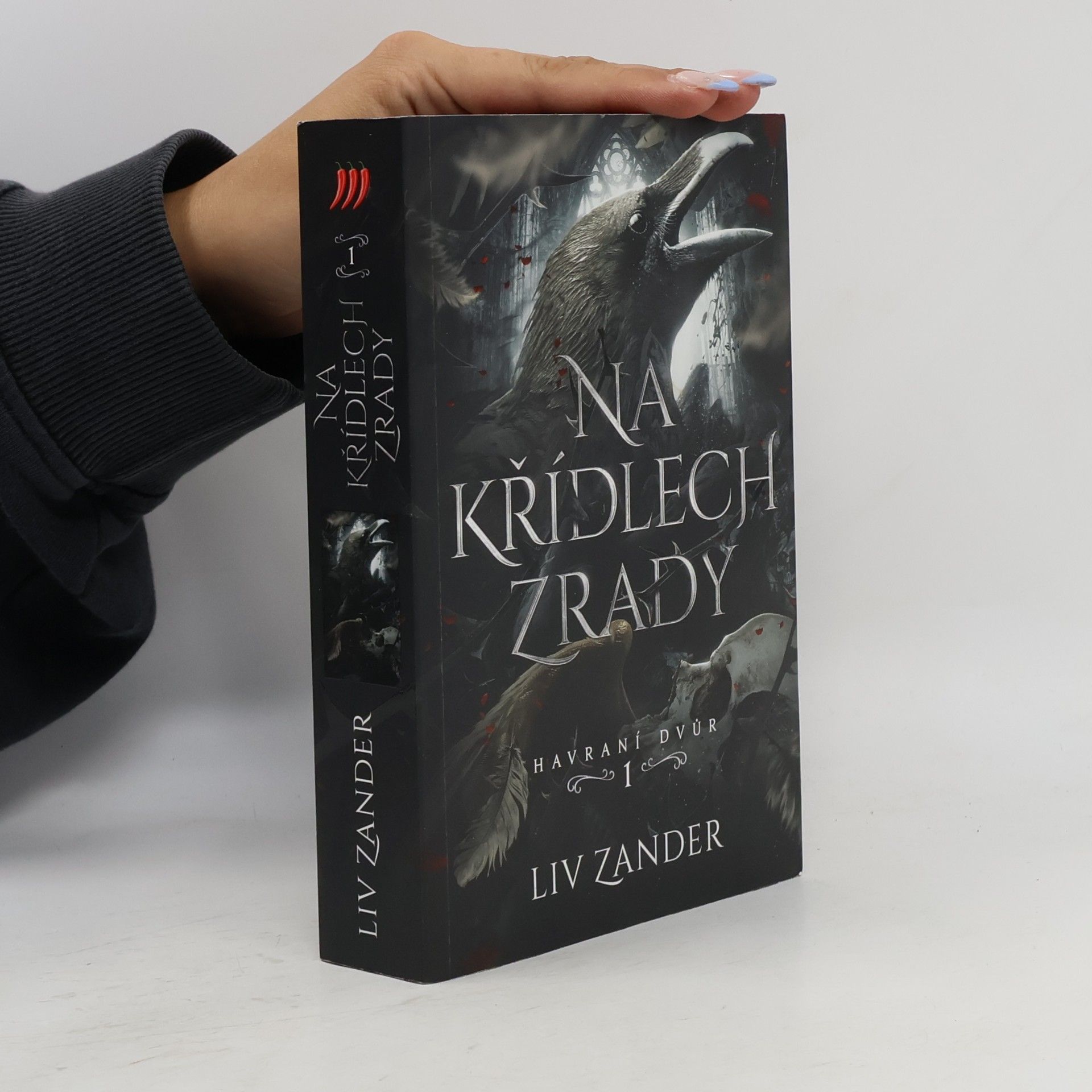 Na křídlech zrady