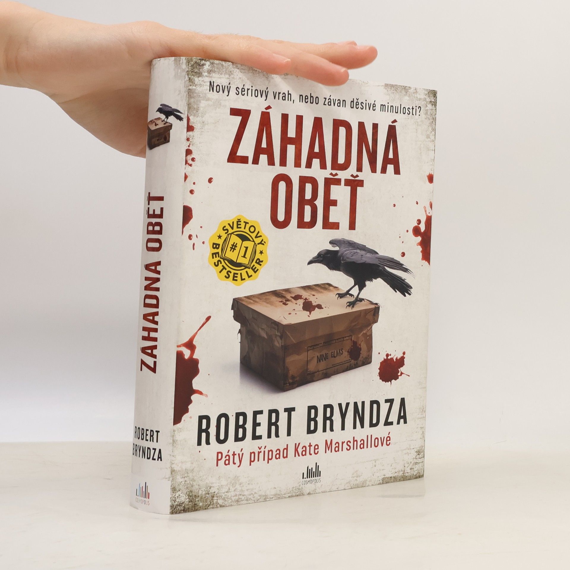 Robert Bryndza Záhadná oběť