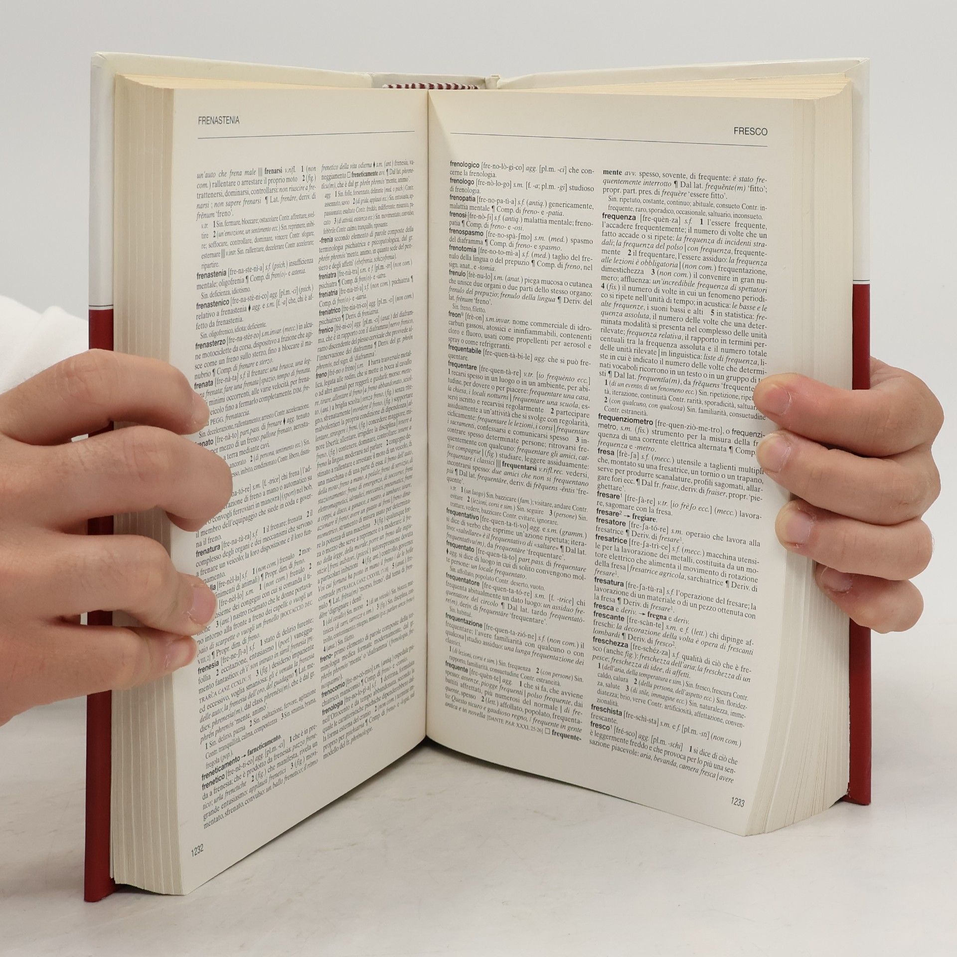 Autorenkollektiv l'Enciclopedia. Dizionario di Italiano 22. Dirit-Mans
