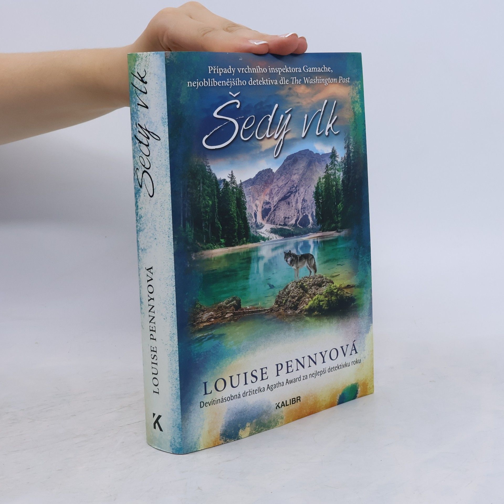Louise Penny Šedý vlk