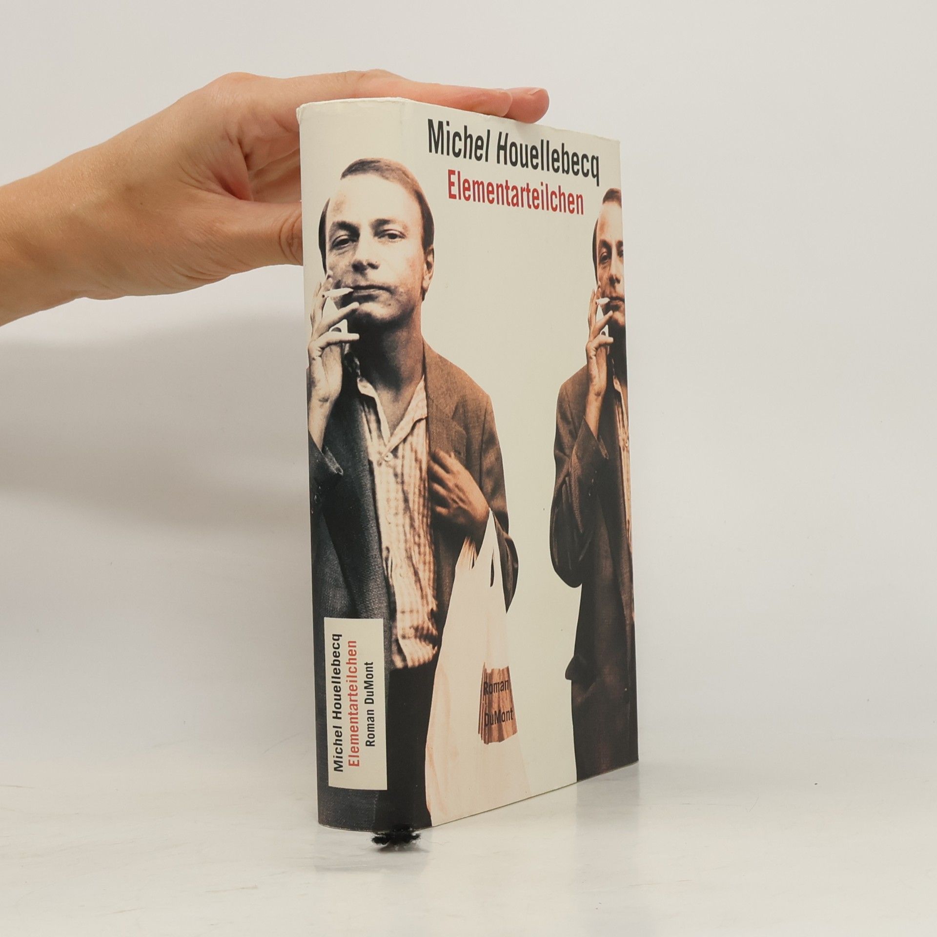 Michel Houellebecq Elementarteilchen