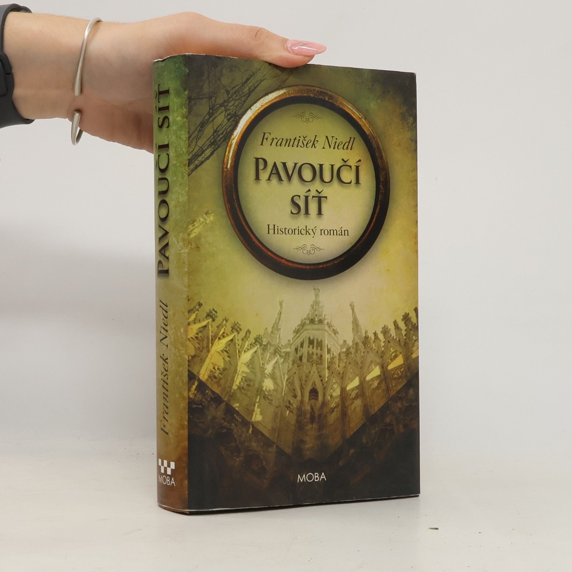 Pavoučí síť