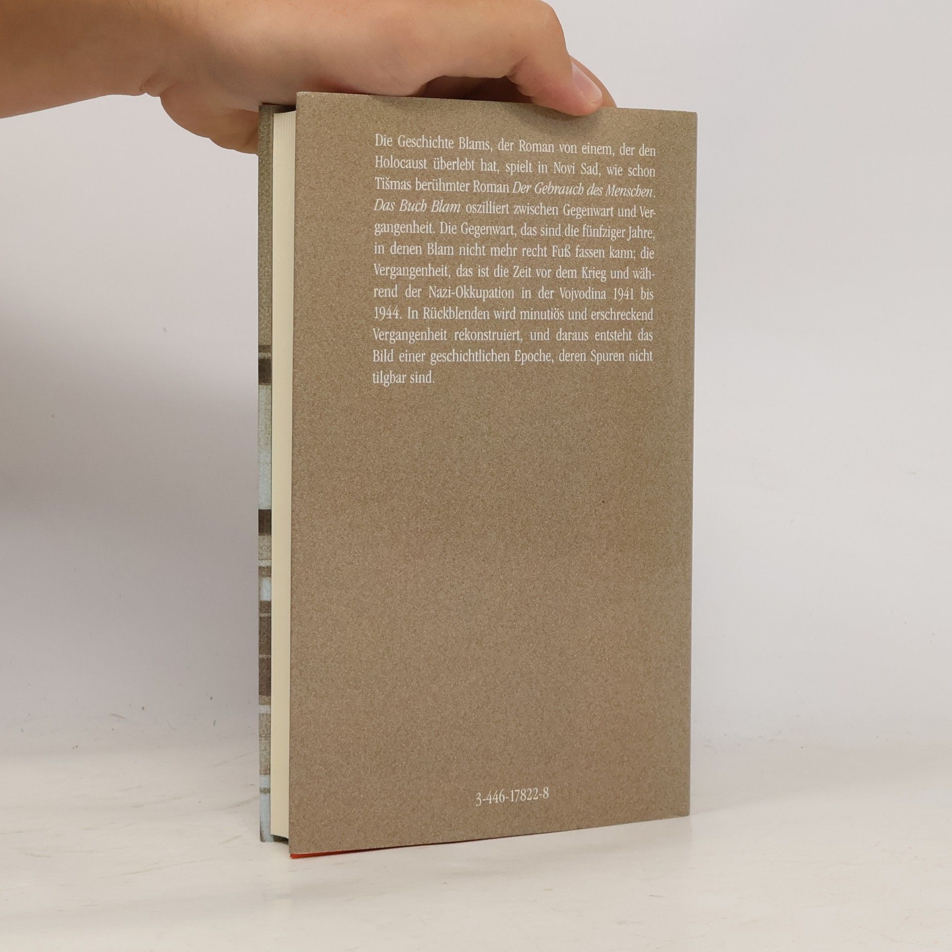 Aleksandar Tišma Das Buch Blam