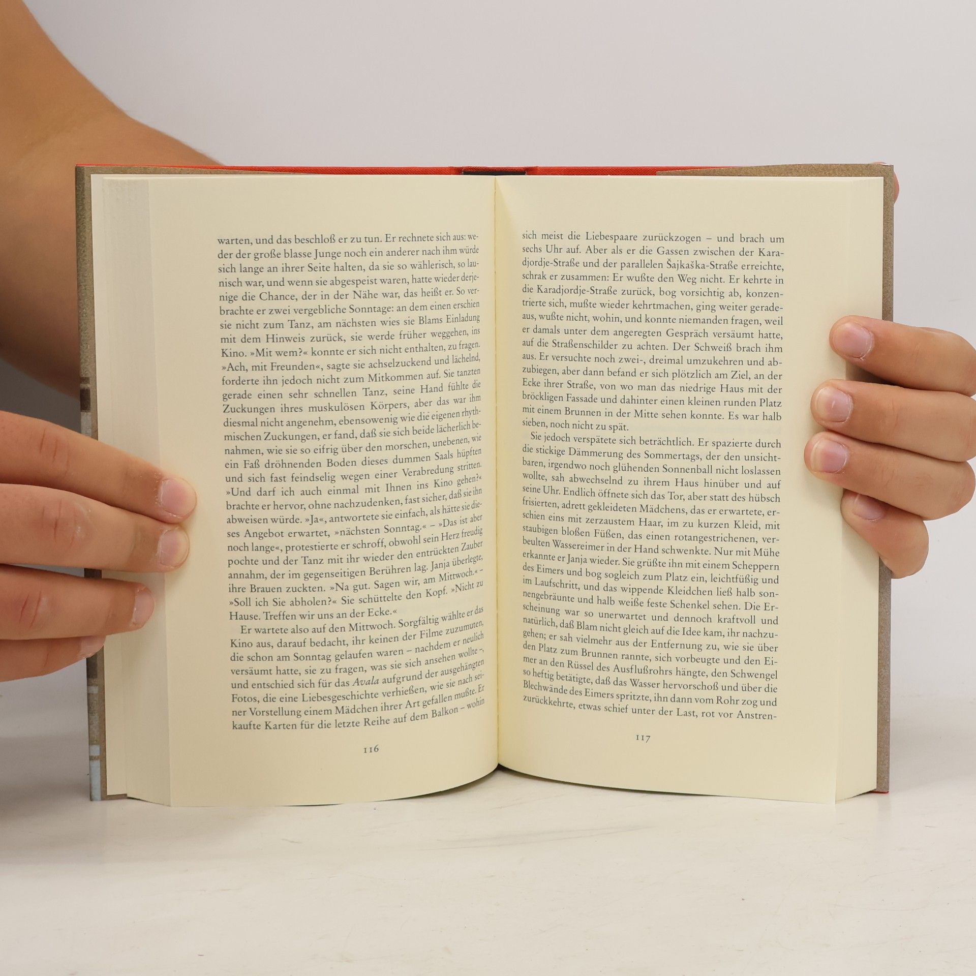 Aleksandar Tišma Das Buch Blam
