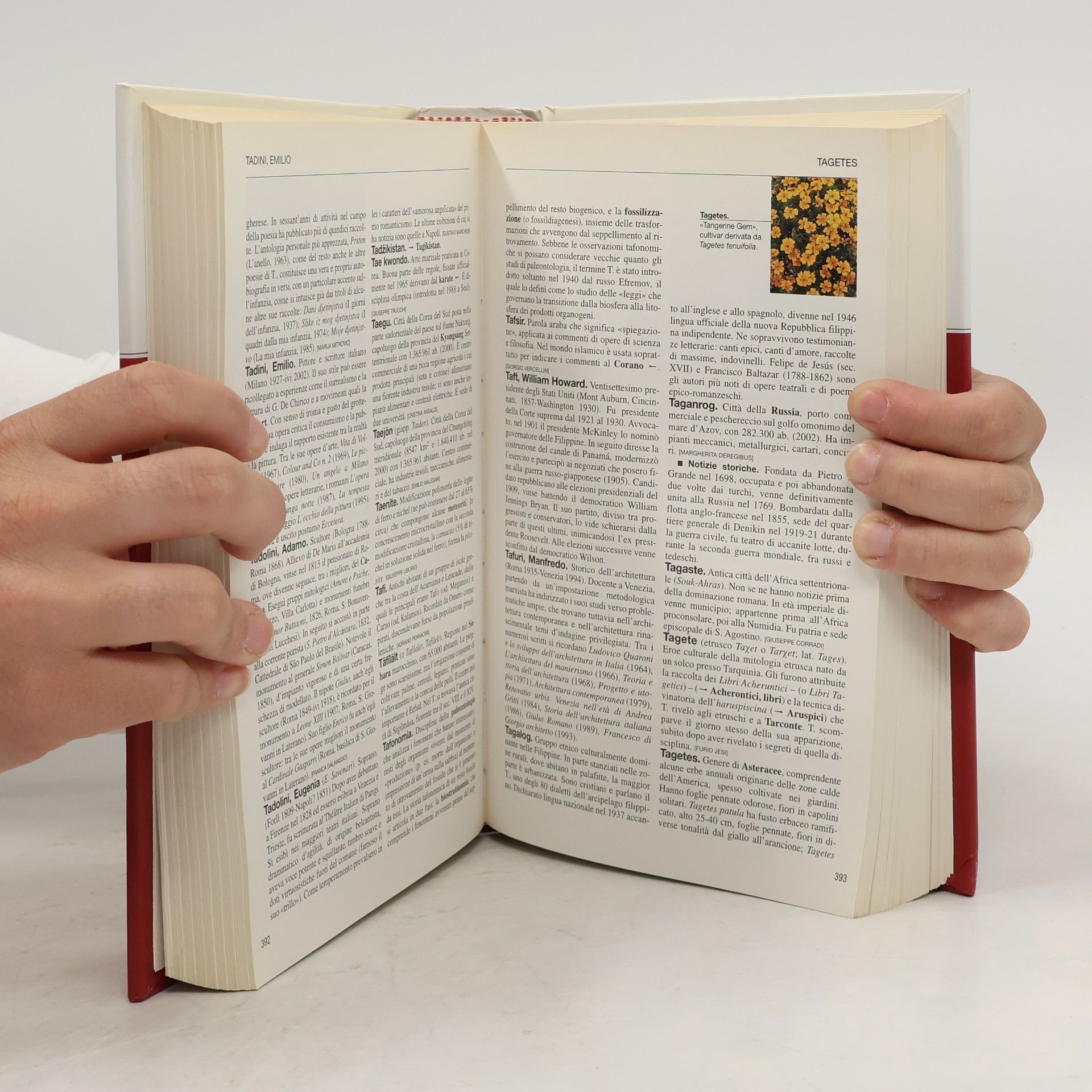 AA.VV. L'Enciclopedia 19