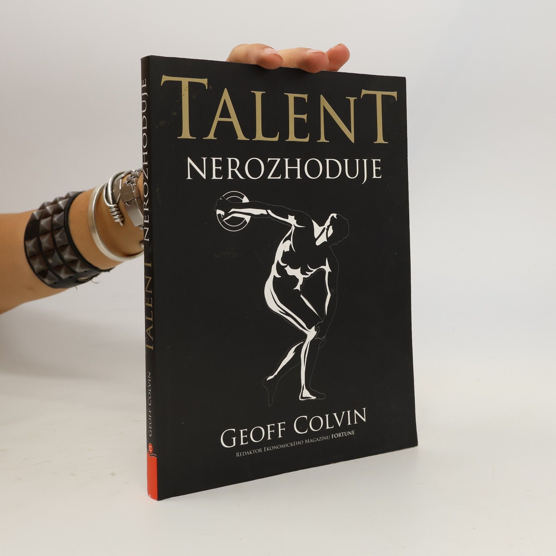 Geoffrey Colvin Talent nerozhoduje : čím se ti nejlepší skutečně liší od ostatních