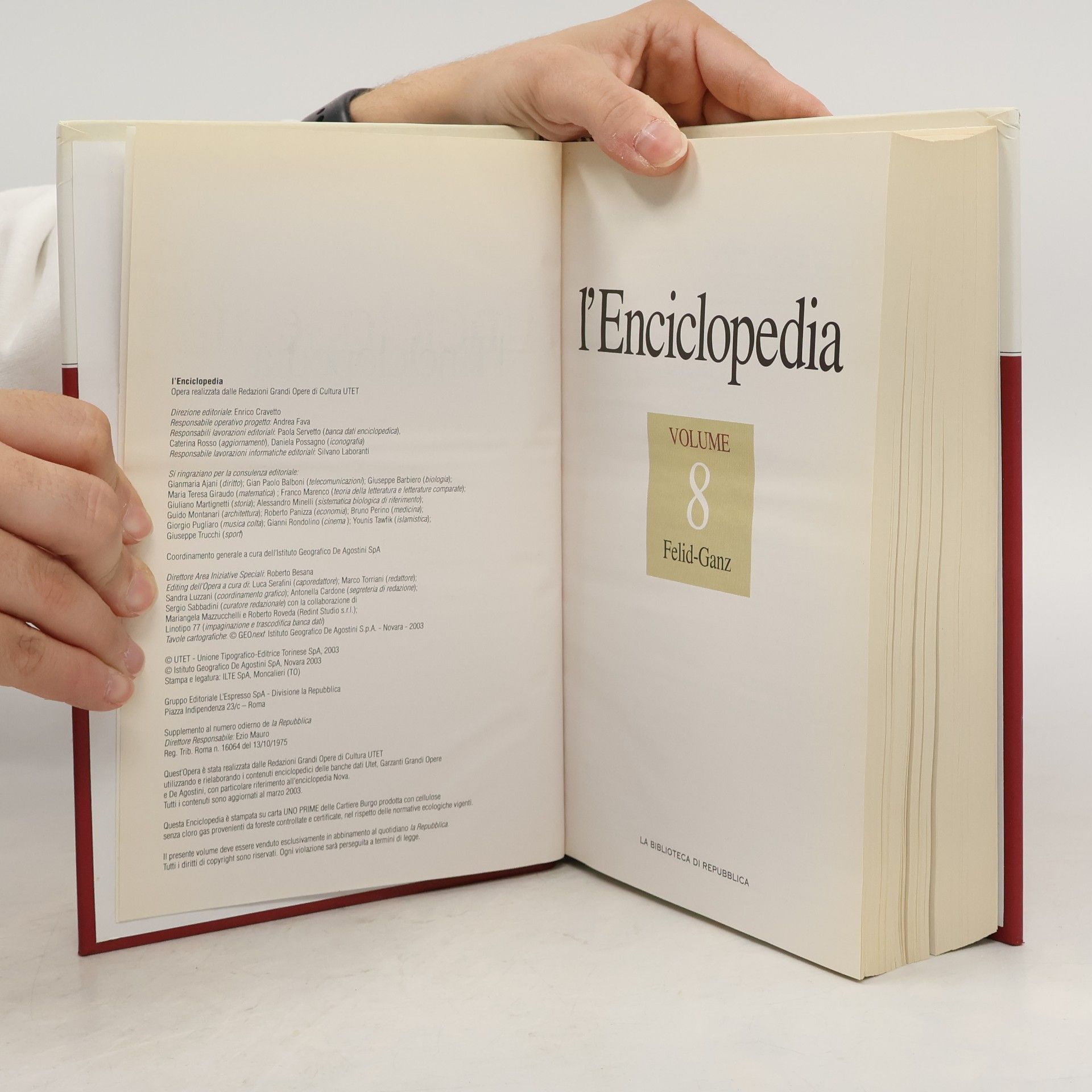 Autorenkollektiv L'Enciclopedia 8. Felid-Ganz
