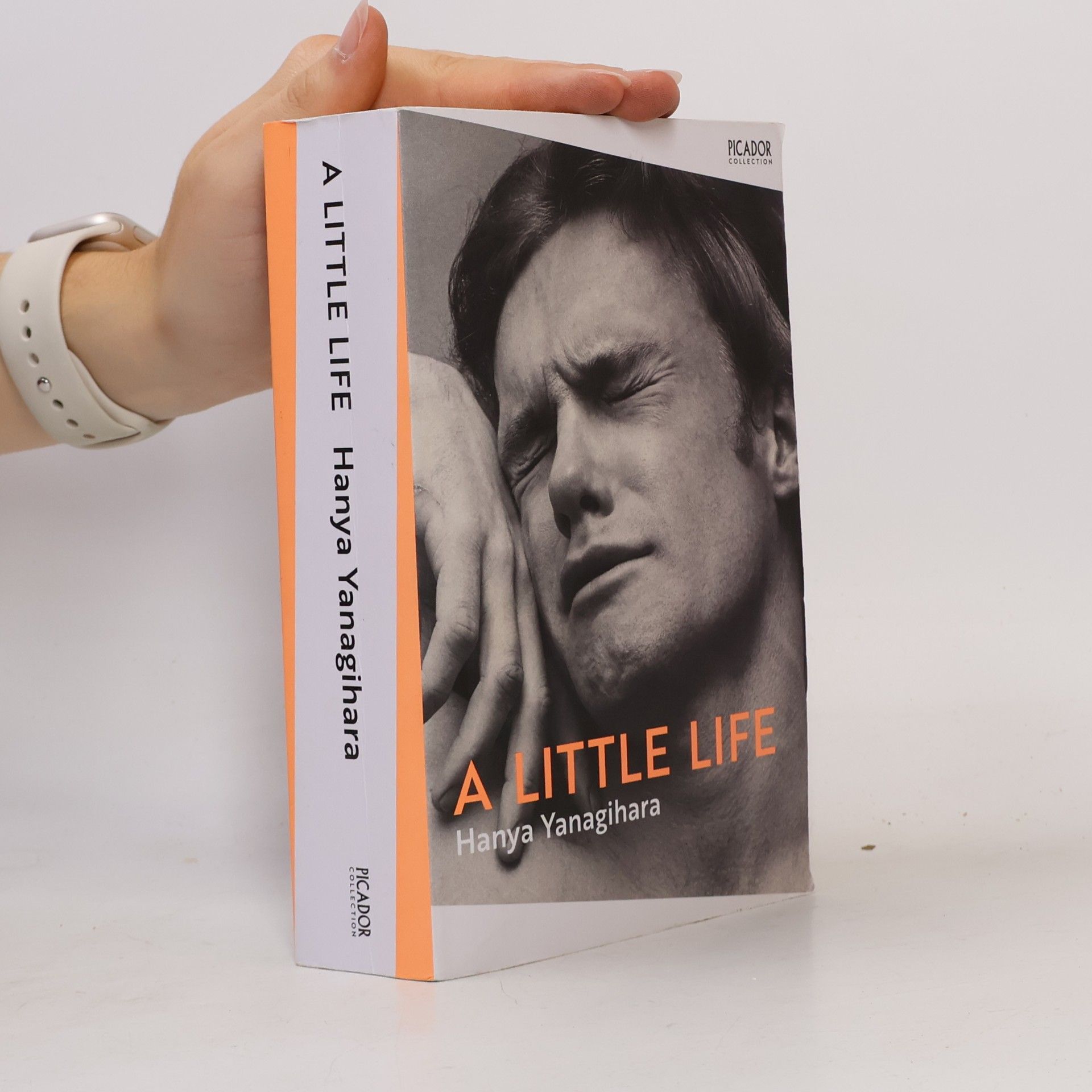 Hanya Yanagihara A Little Life