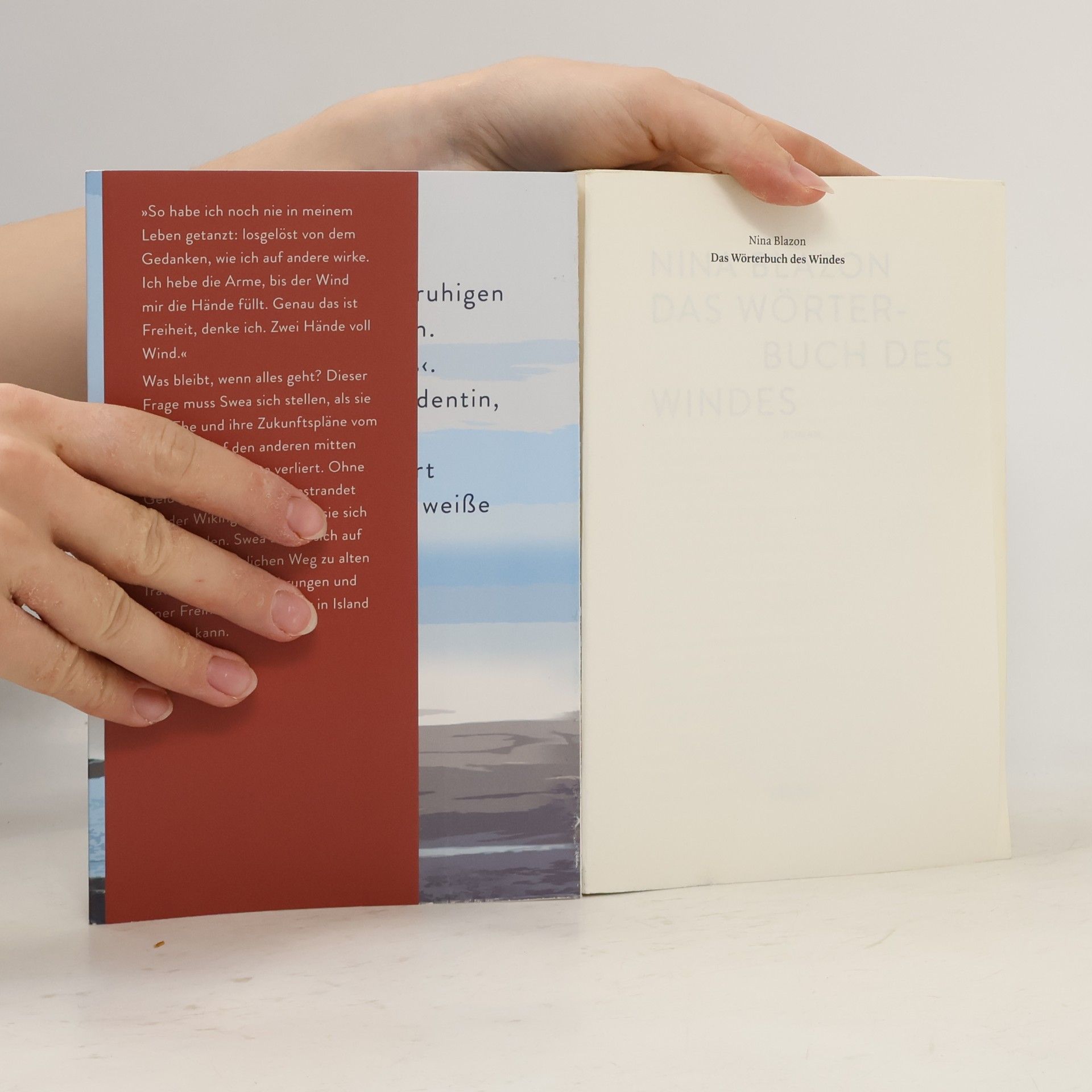 Nina Blazon Das Wörterbuch des Windes
