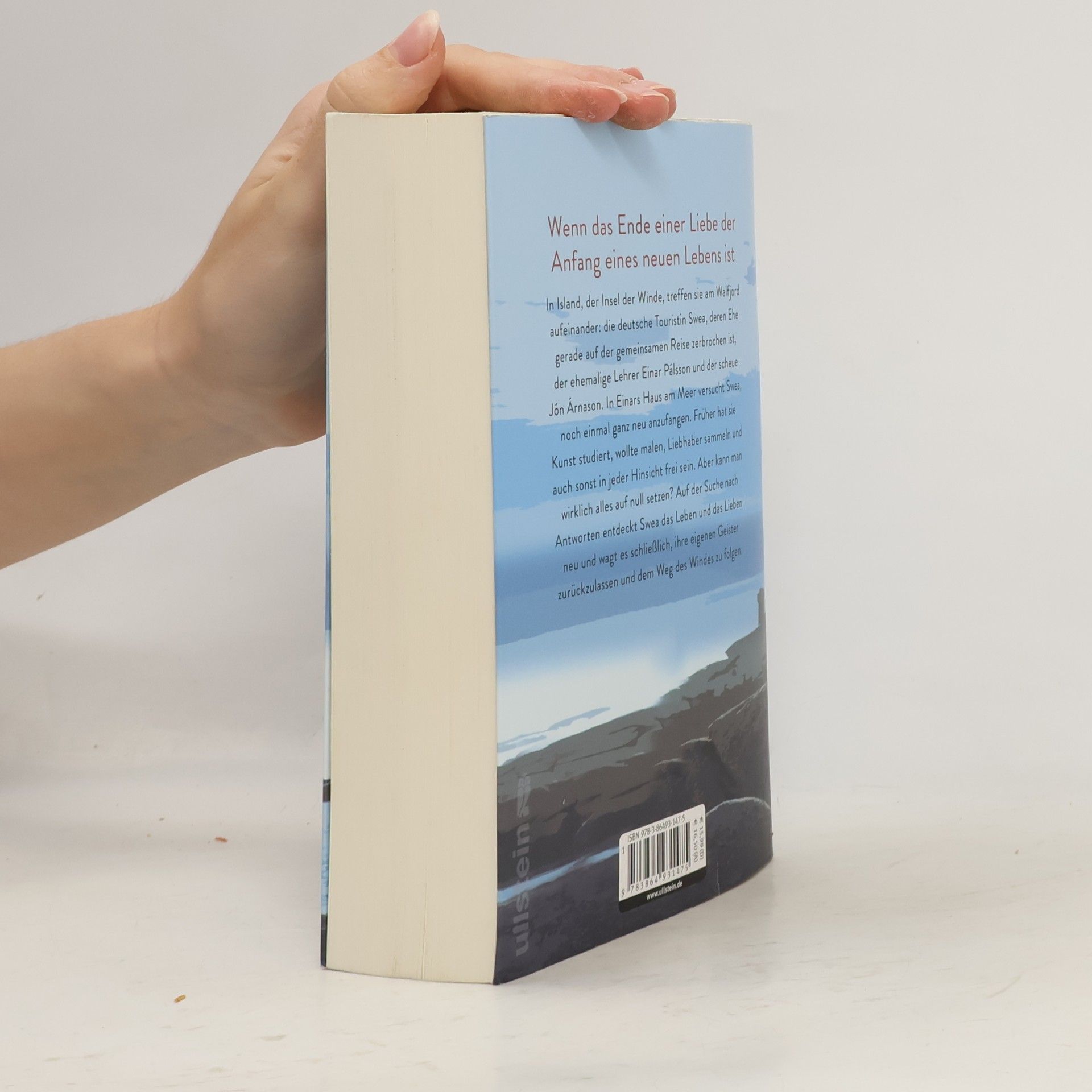 Nina Blazon Das Wörterbuch des Windes