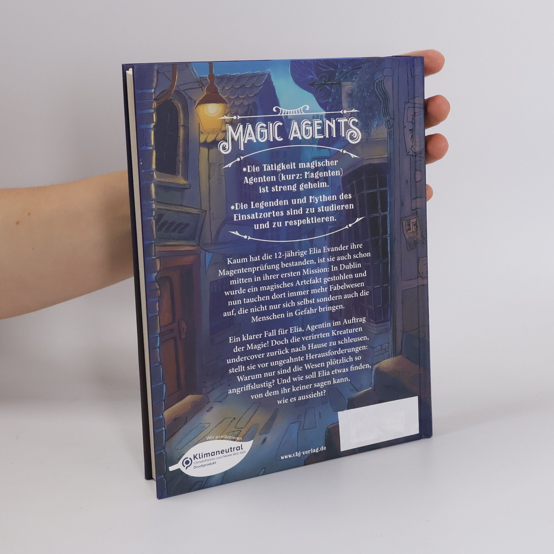 Anja Wagner Magic agents - in Dublin sind die Feen los!