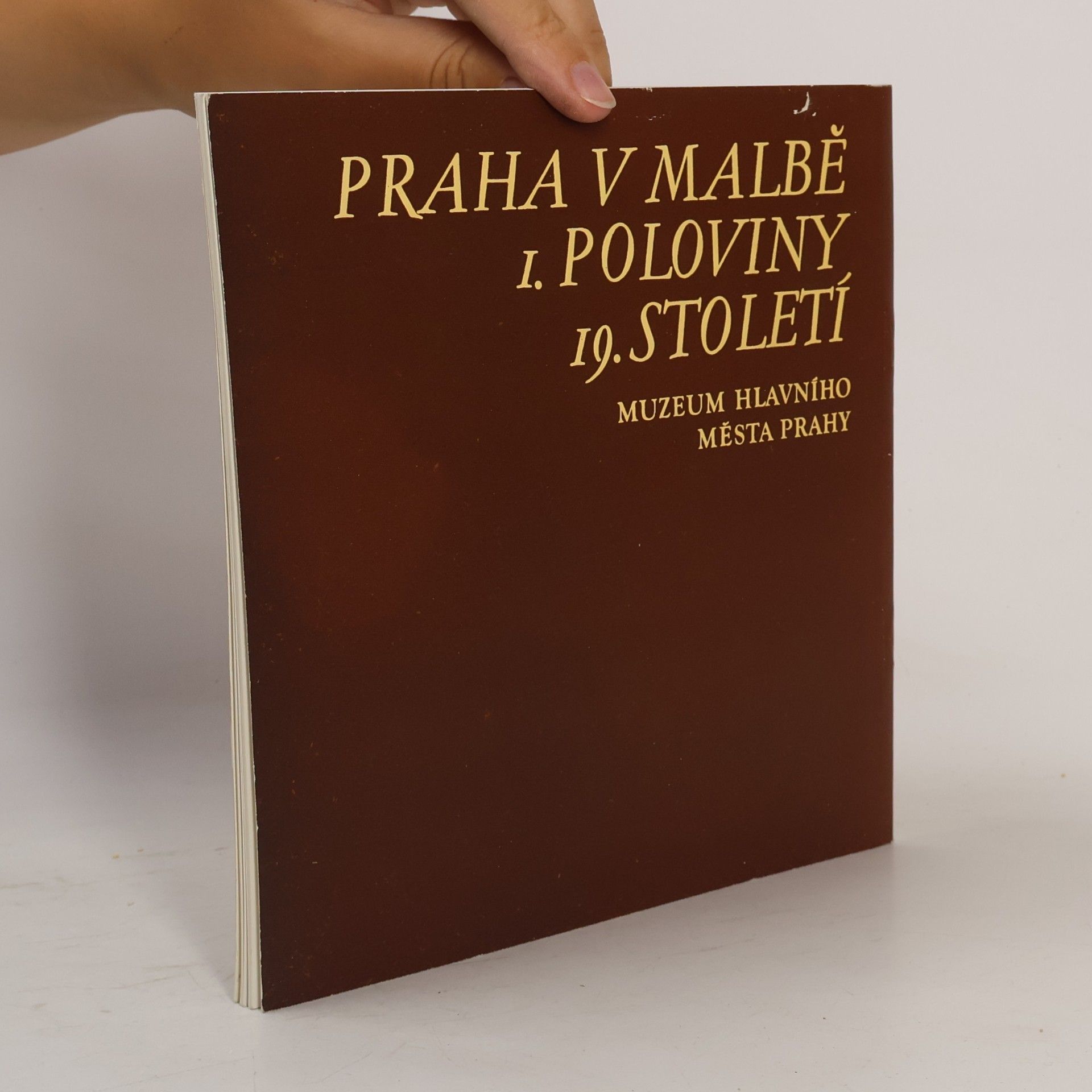 Pavel Vlček Praha v malbě 1. poloviny 19. století