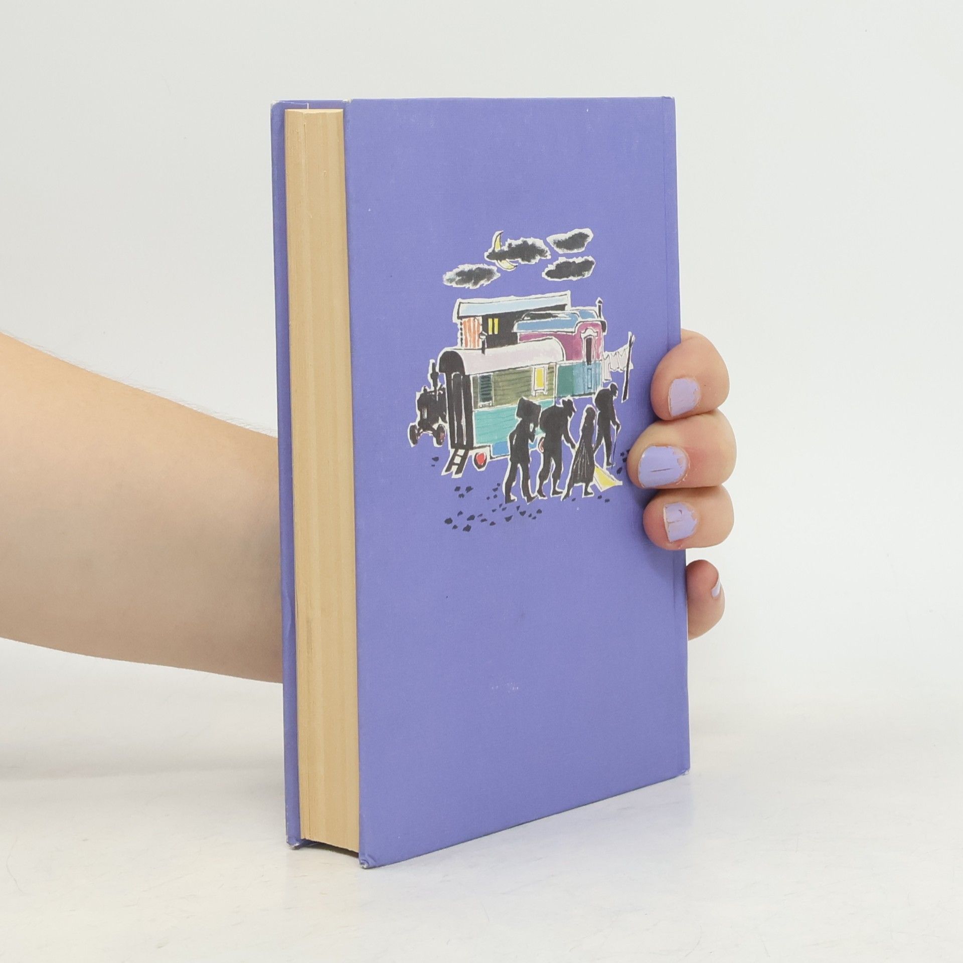 Enid Blyton 5 Freunde verfolgen die Strandräuber