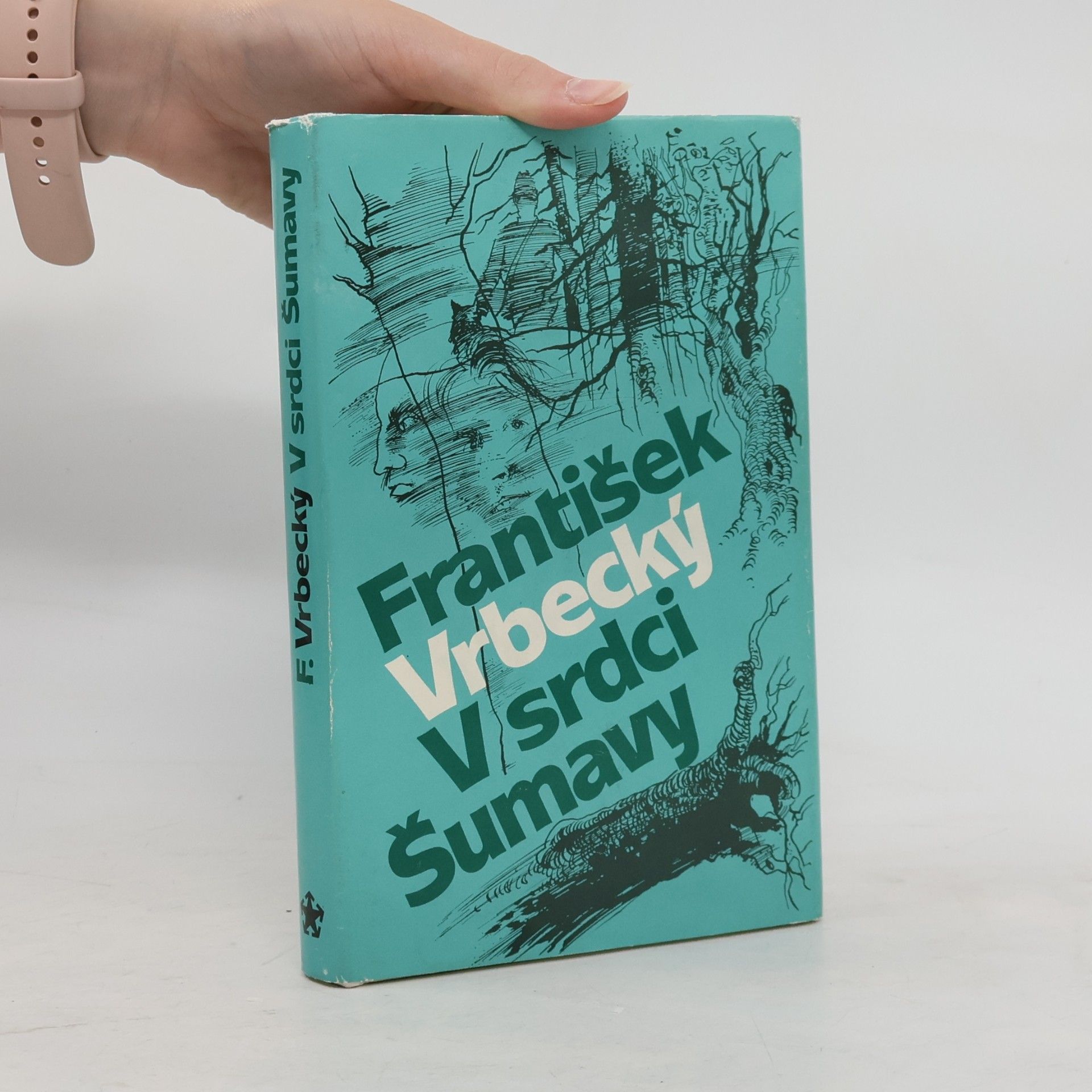 František Vrbecký V srdci Šumavy