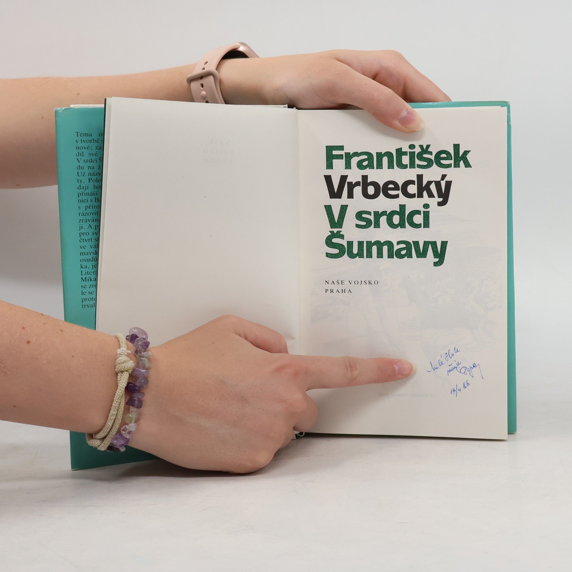 František Vrbecký V srdci Šumavy