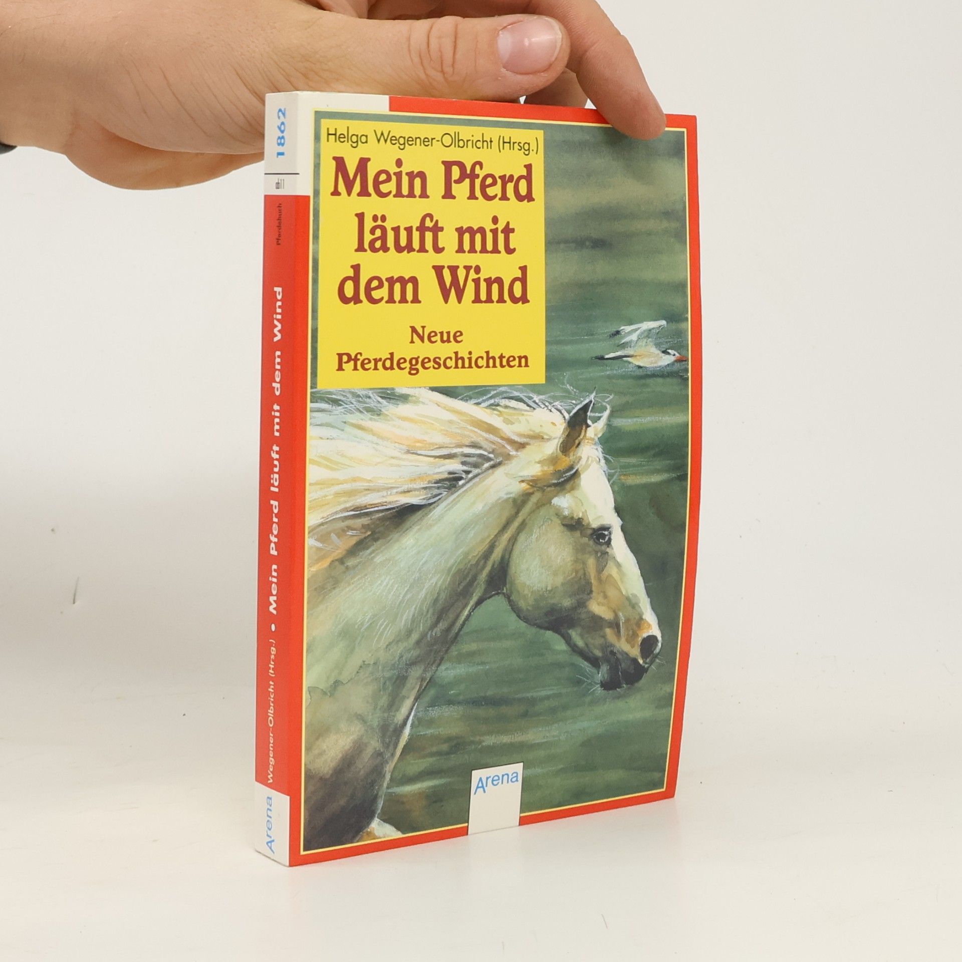 Autorenkollektiv Mein Pferd läuft mit dem Wind