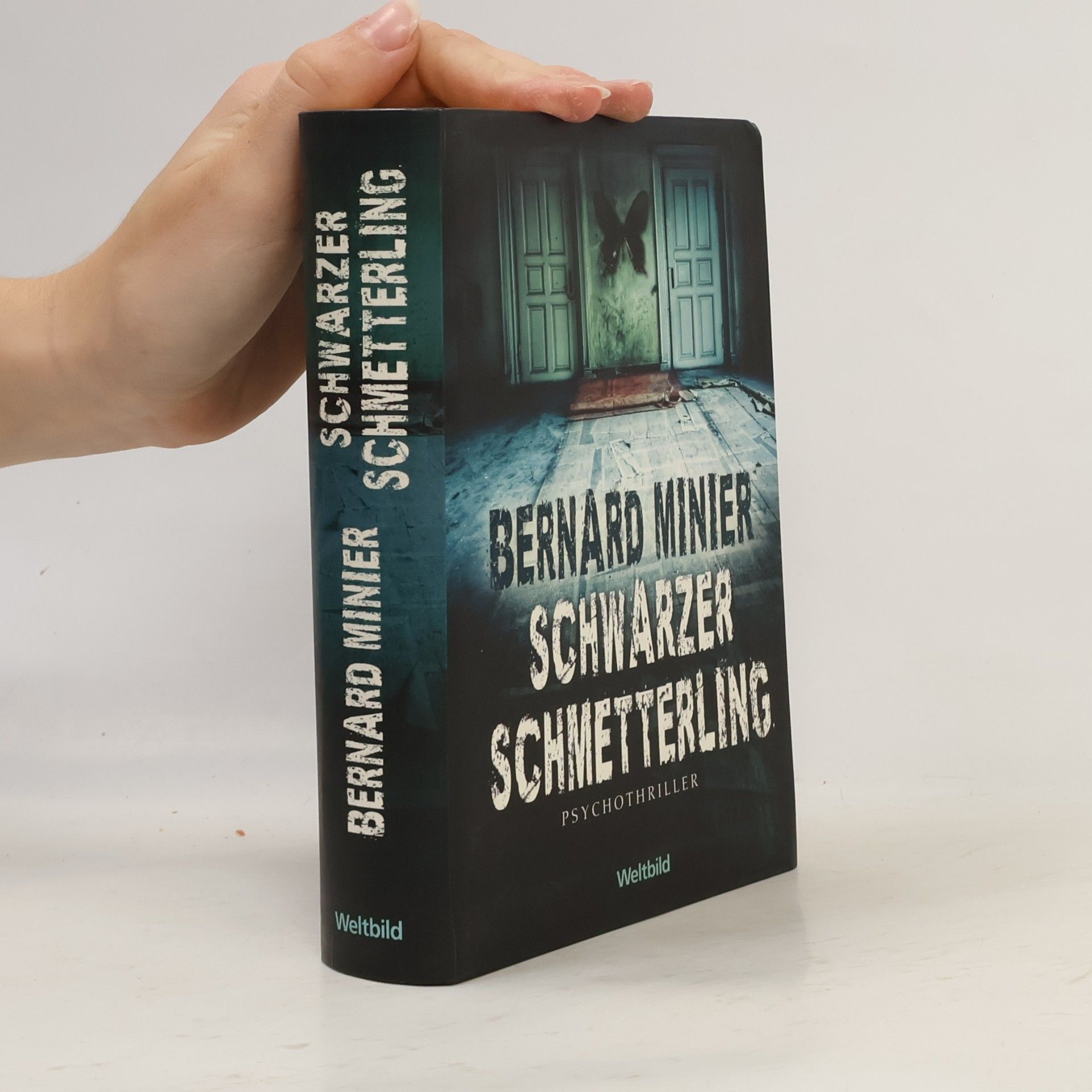 Bernard Minier Schwarzer Schmetterling