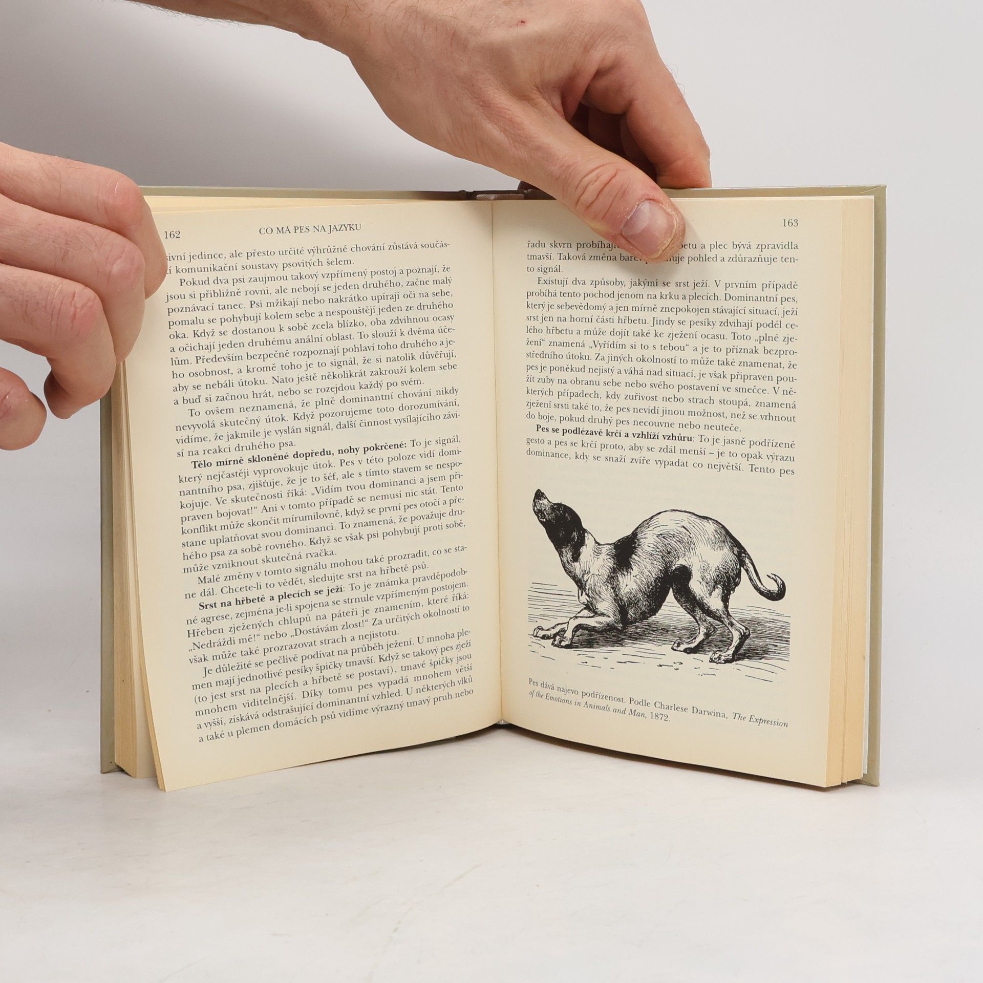 Stanley Coren Co má pes na jazyku : jak porozumět psí řeči
