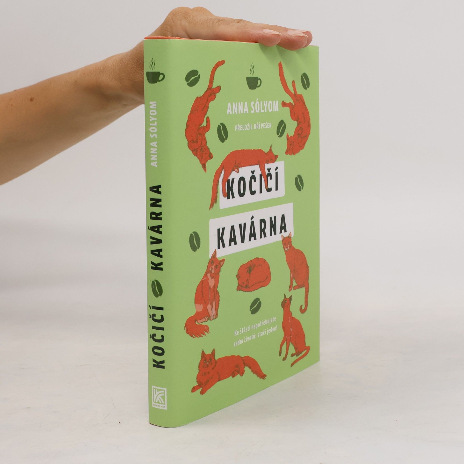 Anna Sólyom Kočičí kavárna