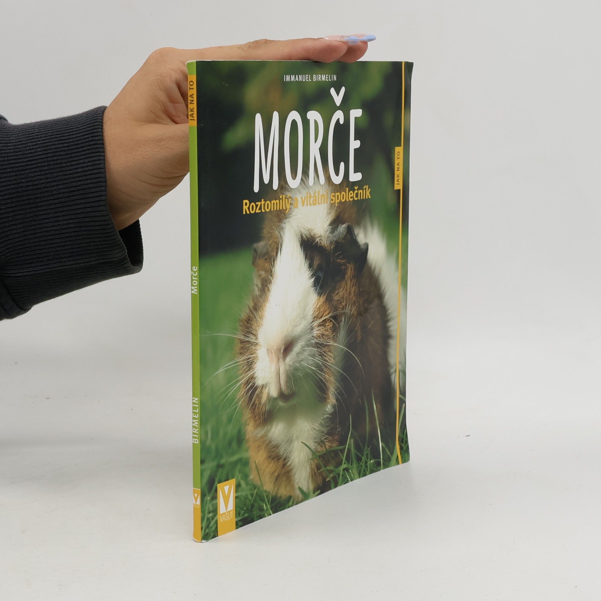 Immanuel Birmelin Morče. Roztomilý a vitální společník
