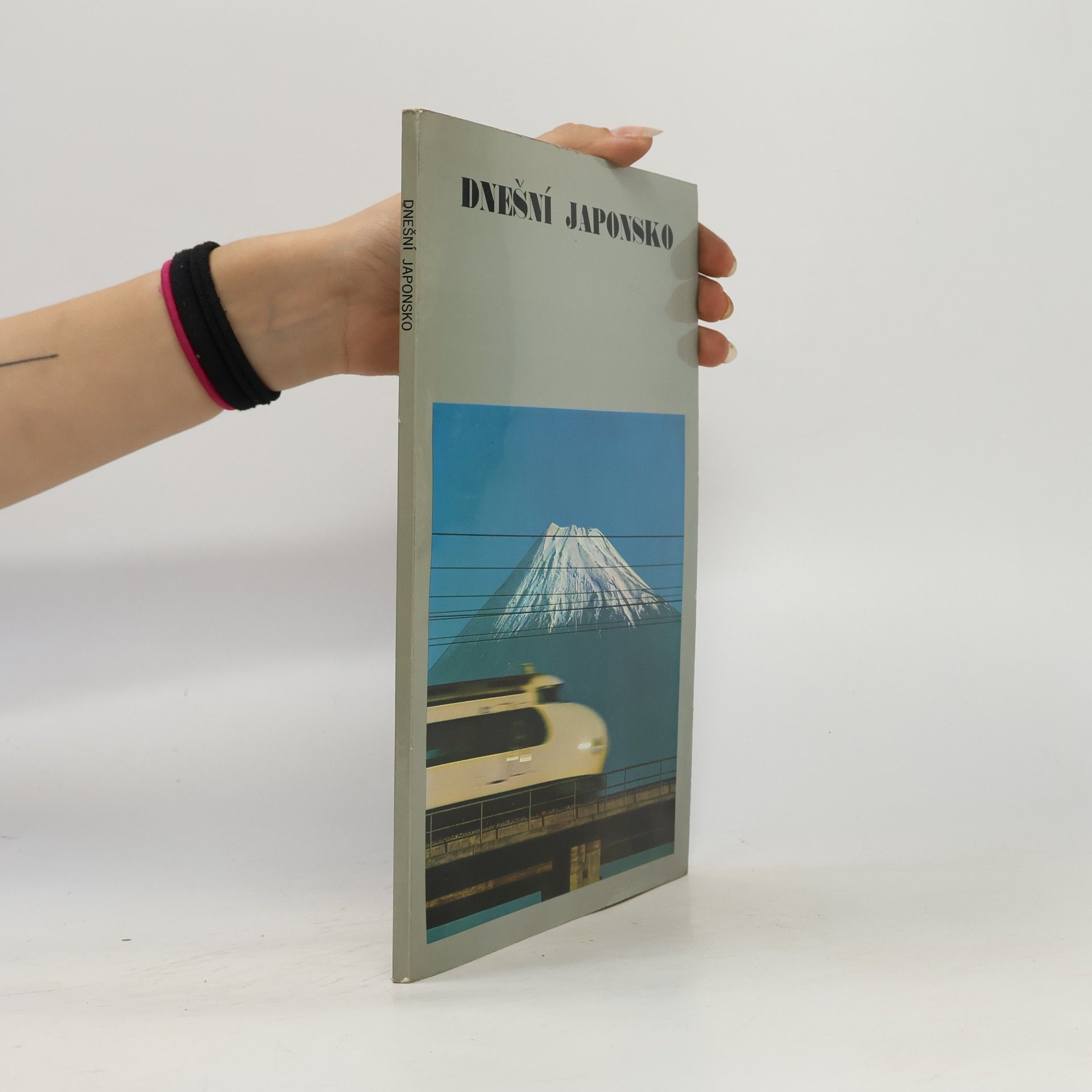 Kolektiv autorů Dnešní Japonsko