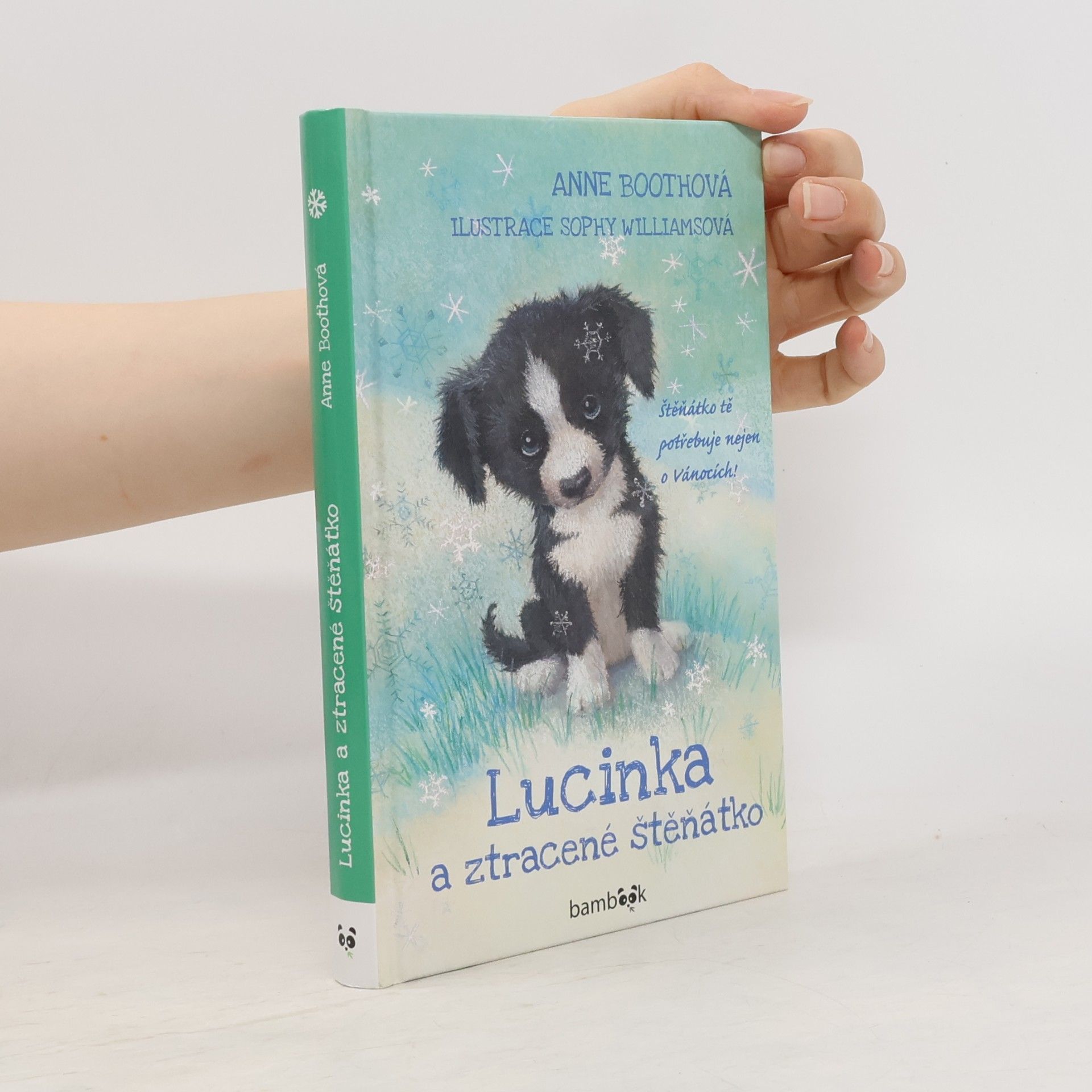 Anne Booth Lucinka a ztracené štěňátko