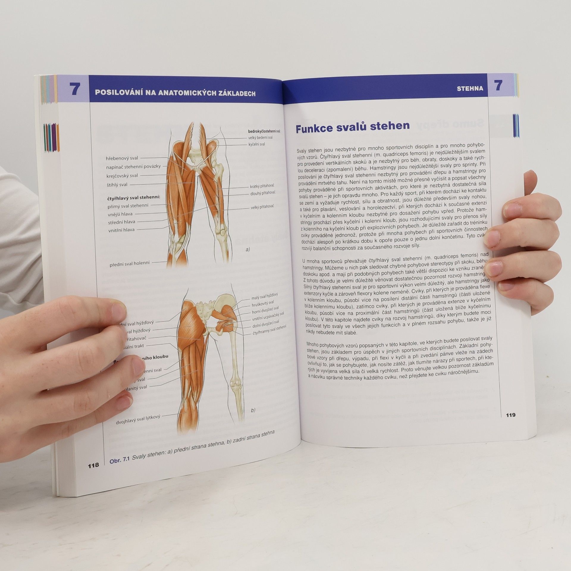 Bret Contreras Posilování : na anatomických základech