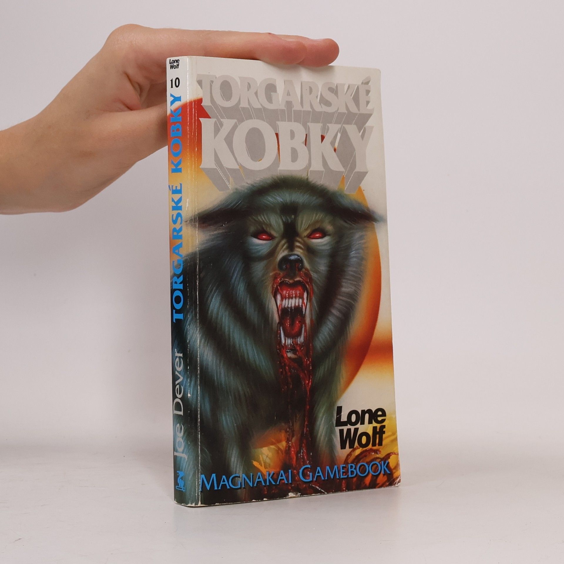 Joe Dever Torgarské kobky