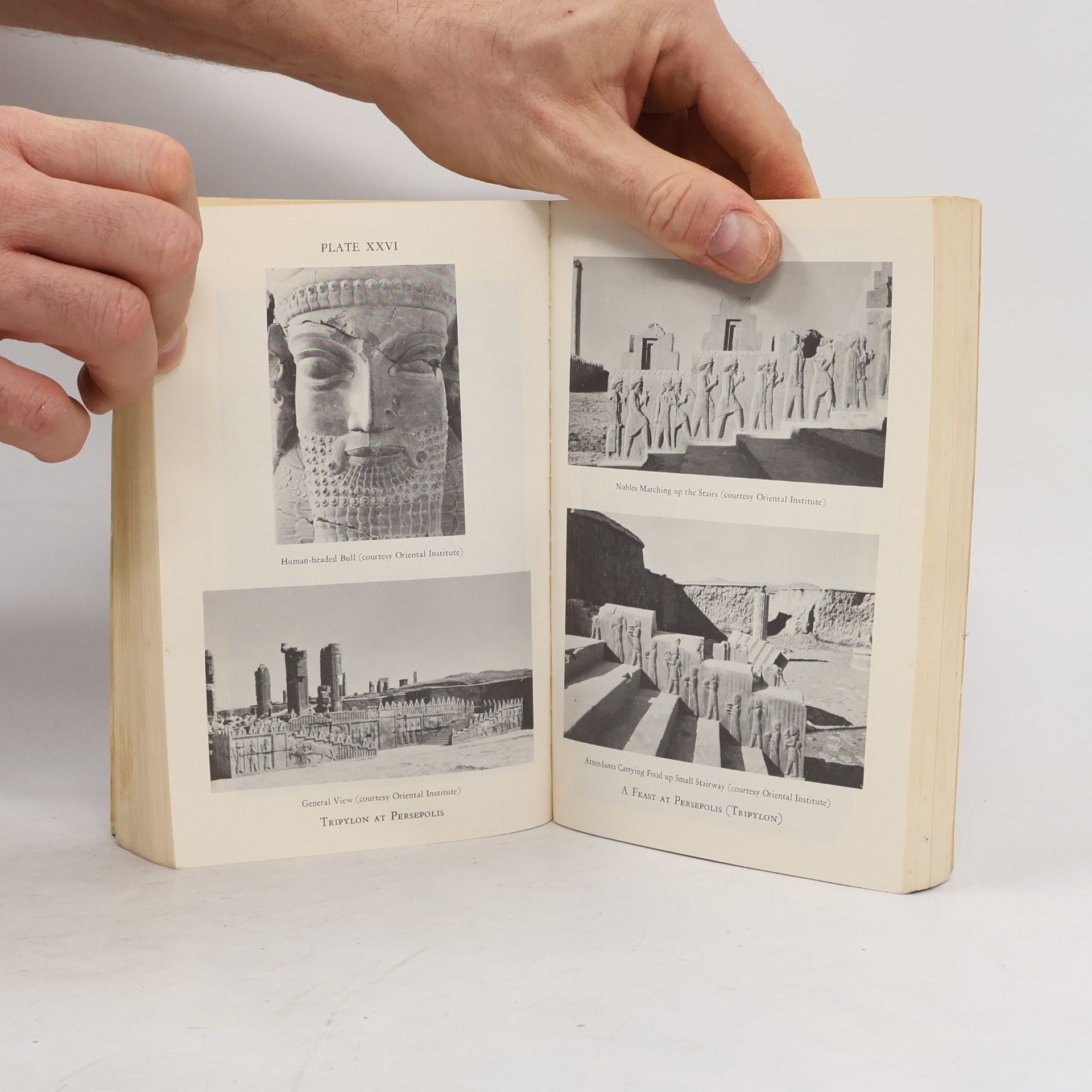 A. T. Olmstead History of the Persian Empire