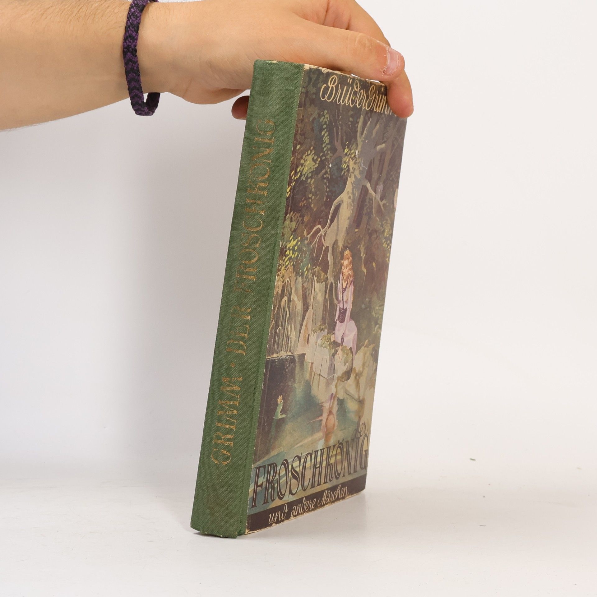 bratři Grimmové Der Froschkönig und andere Märchen