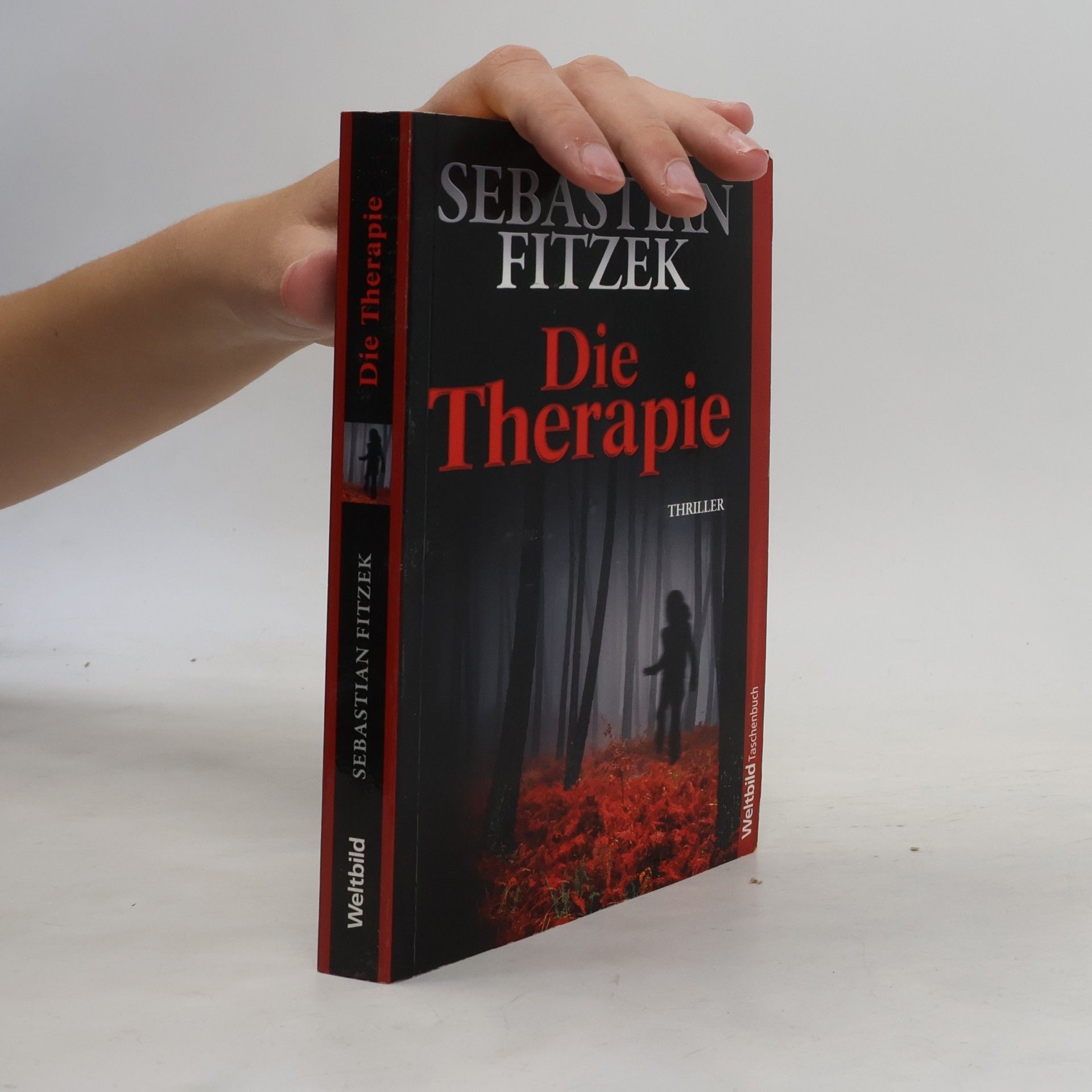 Sebastian Fitzek Die Therapie