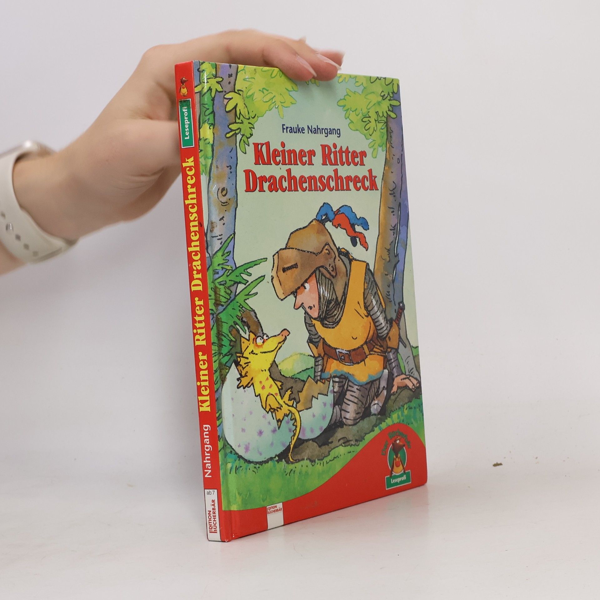 Frauke Nahrgang Kleiner Ritter Drachenschreck