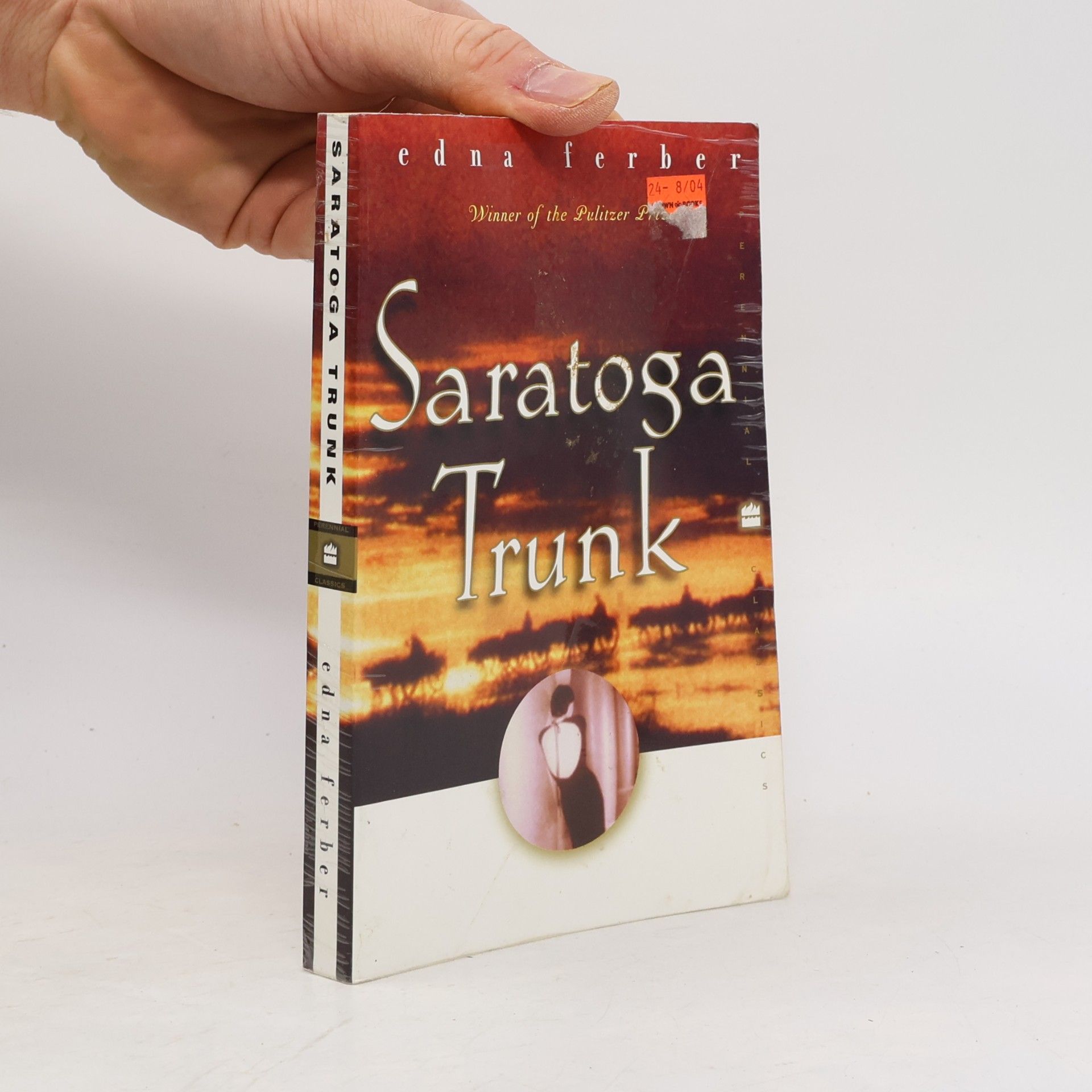 Saratoga Trunk