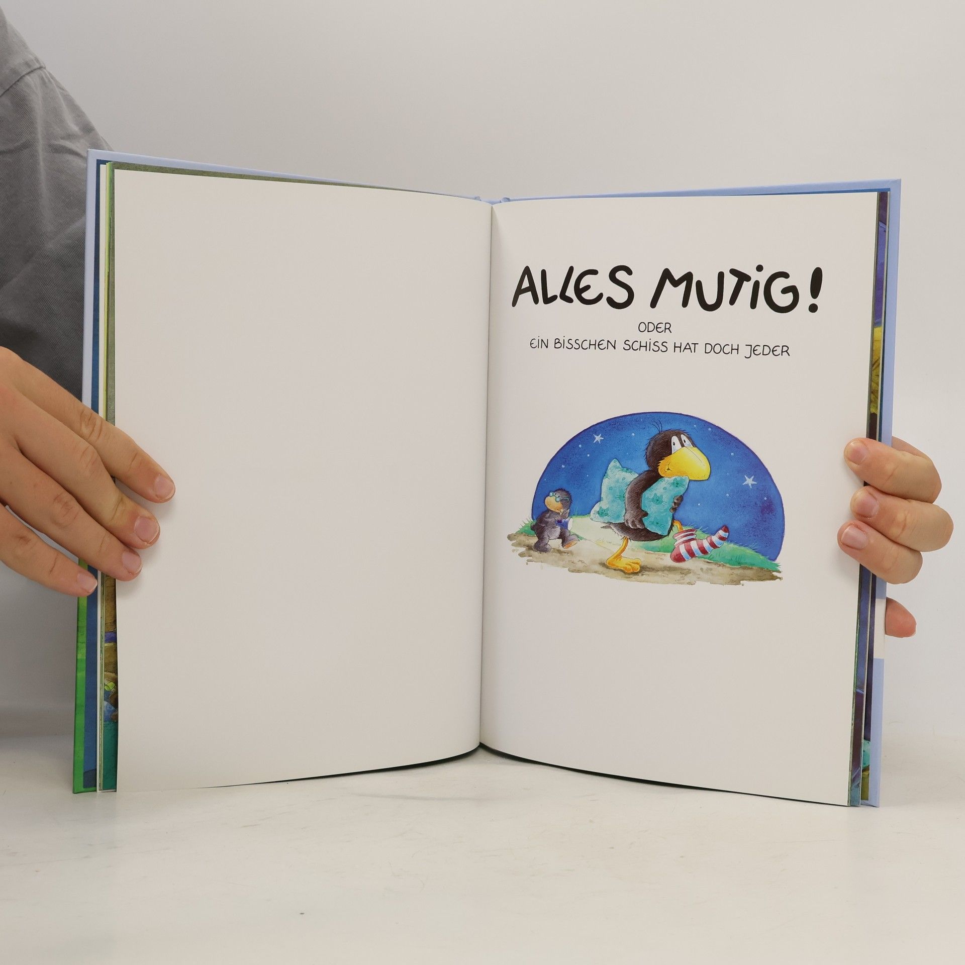 Nele Moost Bilderbuchgeschichten vom kleinen Raben Socke