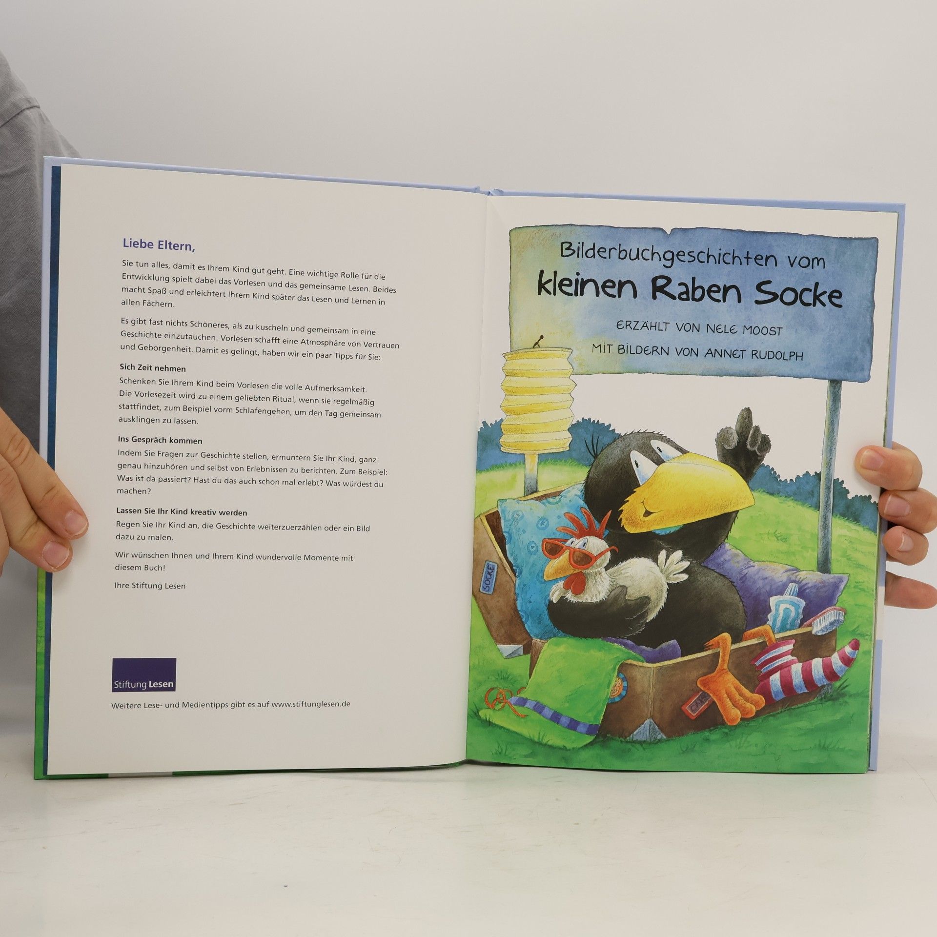 Nele Moost Bilderbuchgeschichten vom kleinen Raben Socke