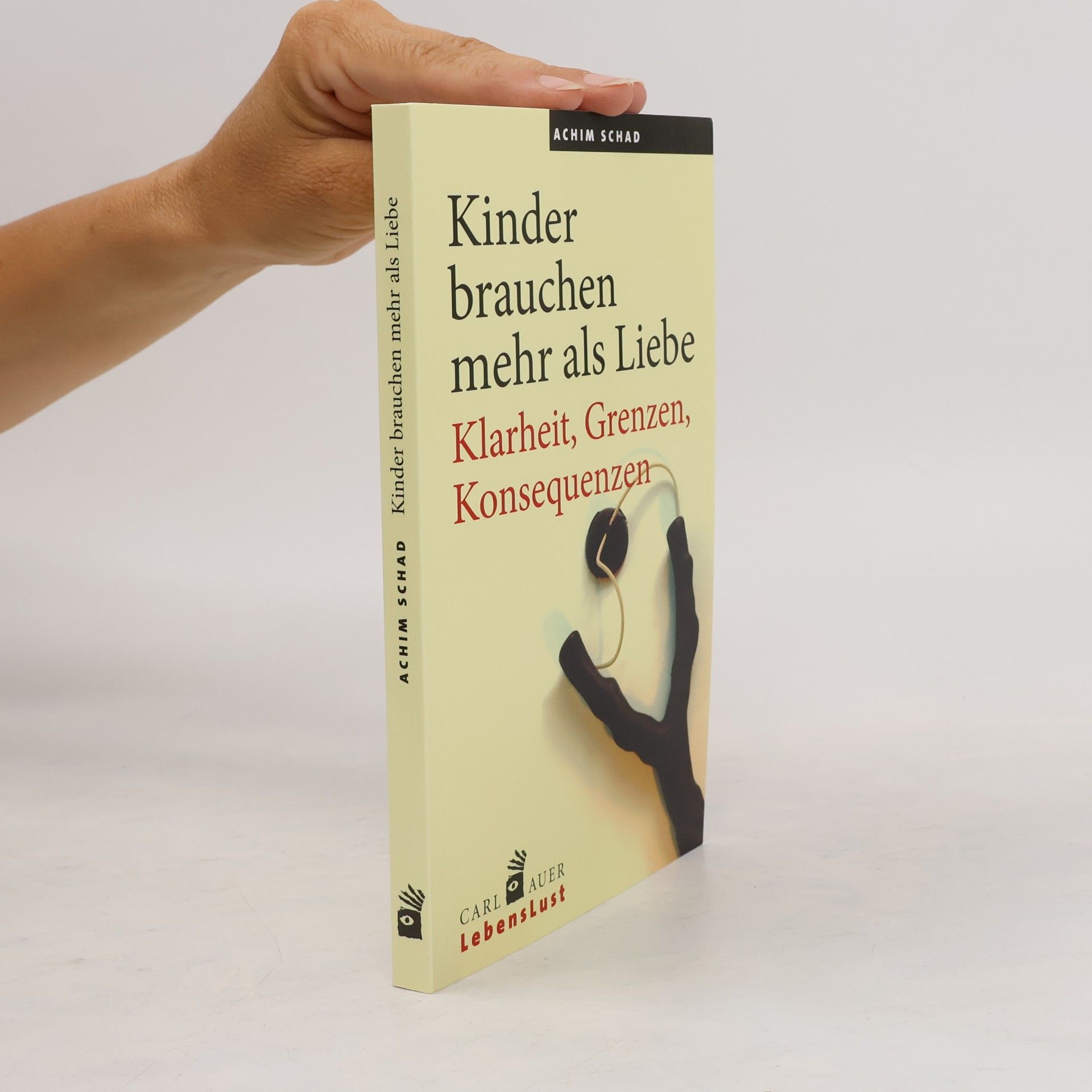 Achim Schad Kinder brauchen mehr als Liebe